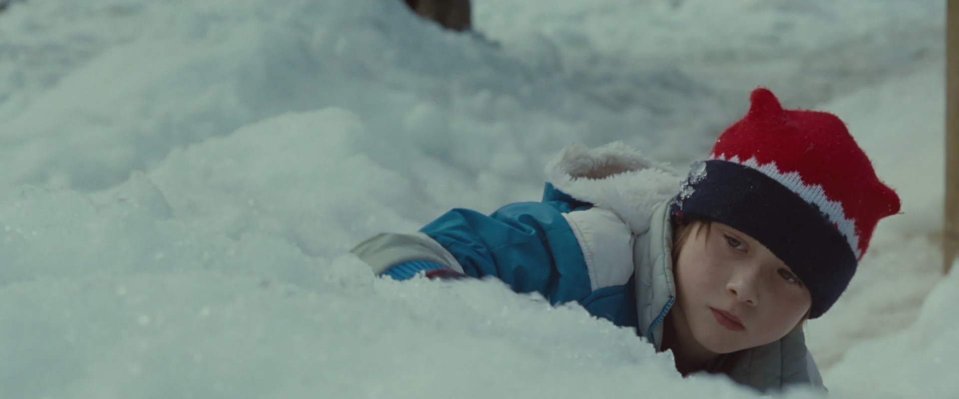 Where the Wild Things Are (2009) —  shot,  lighting