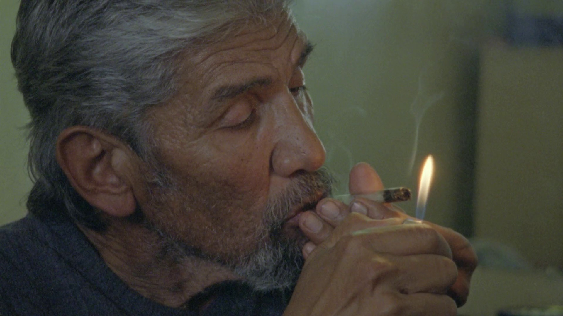 Born Free (2010) —  shot,  lighting