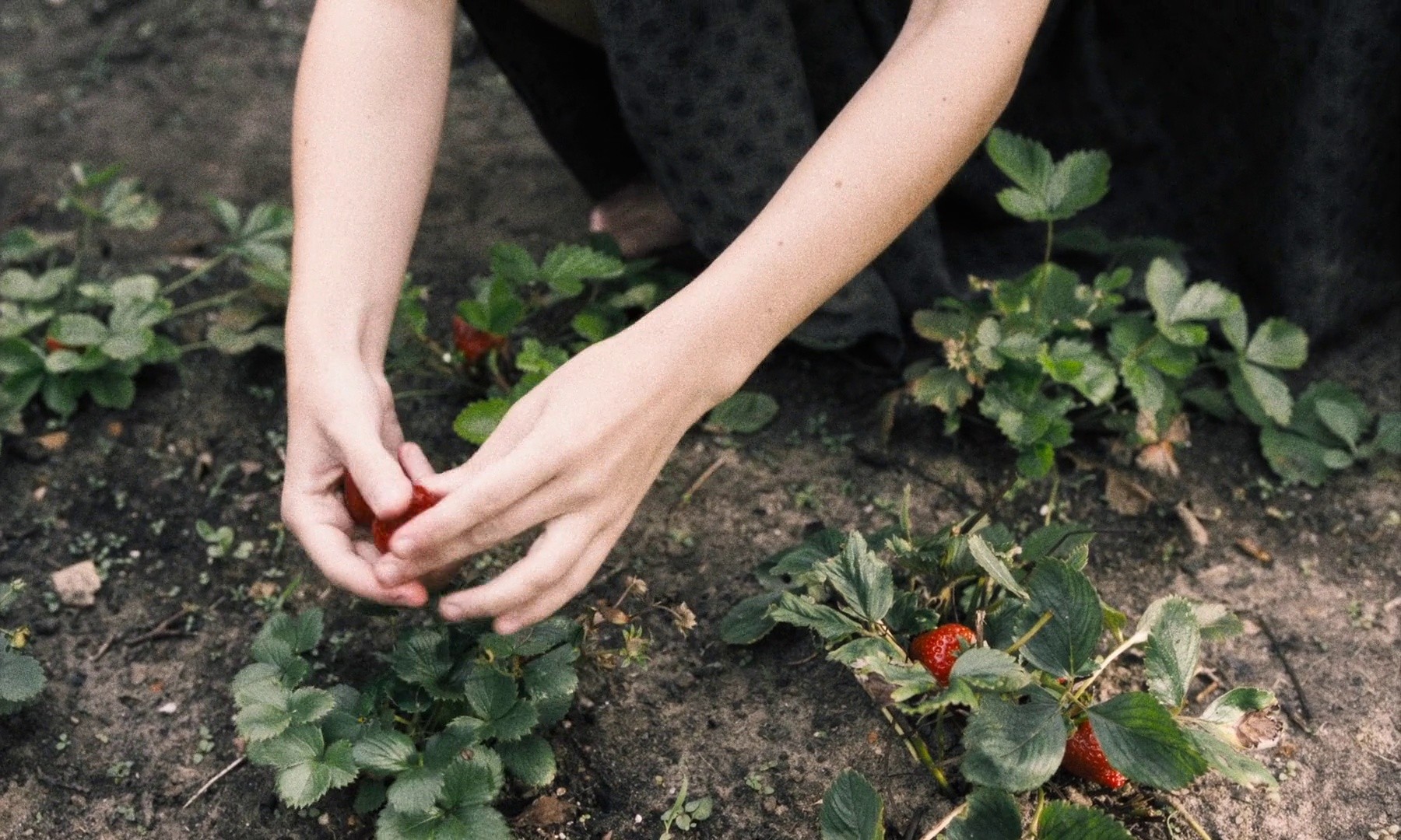 From Hilde, with Love (2024) —  shot,  lighting