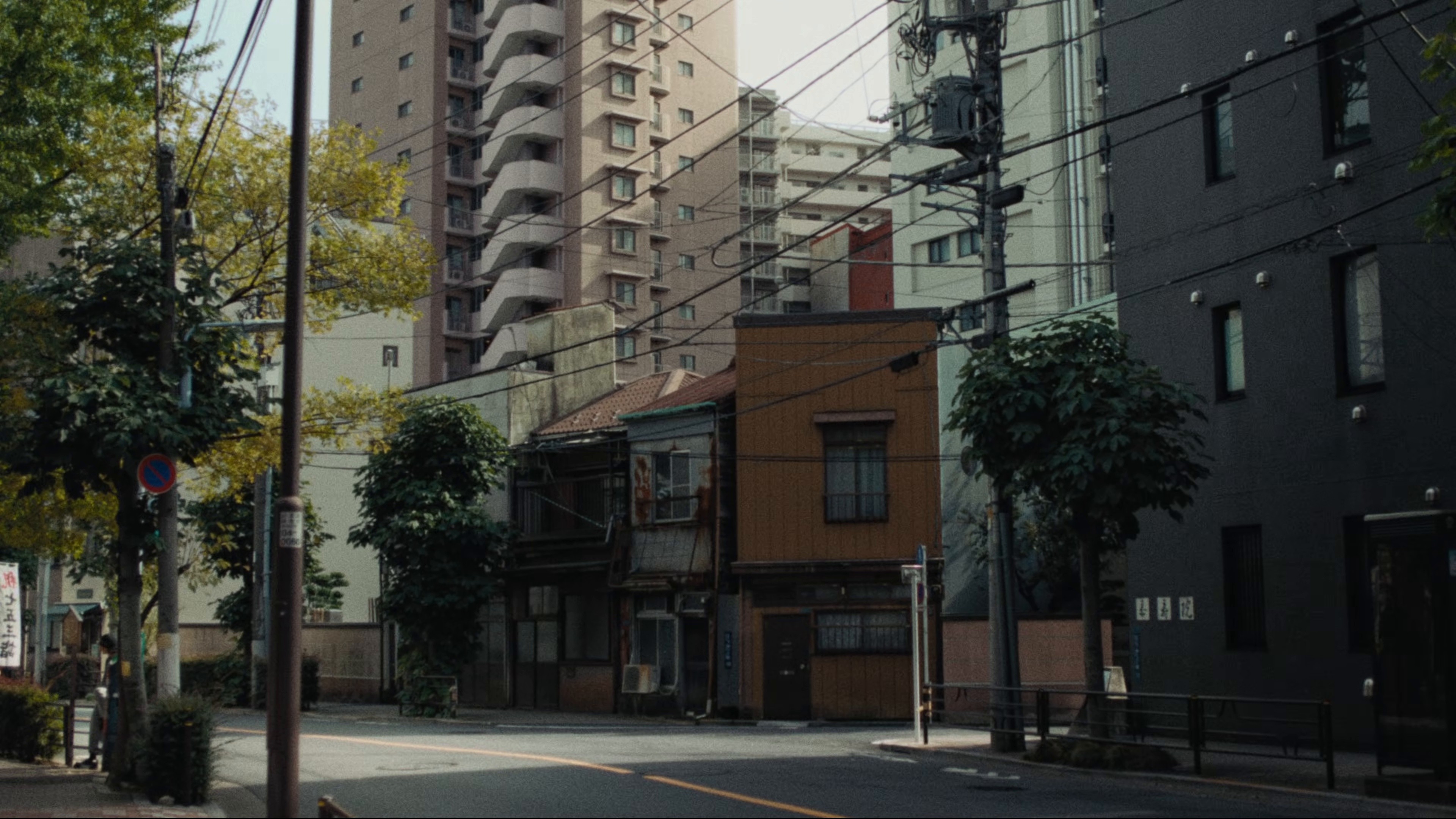 Inaho (2025) —  shot,  lighting