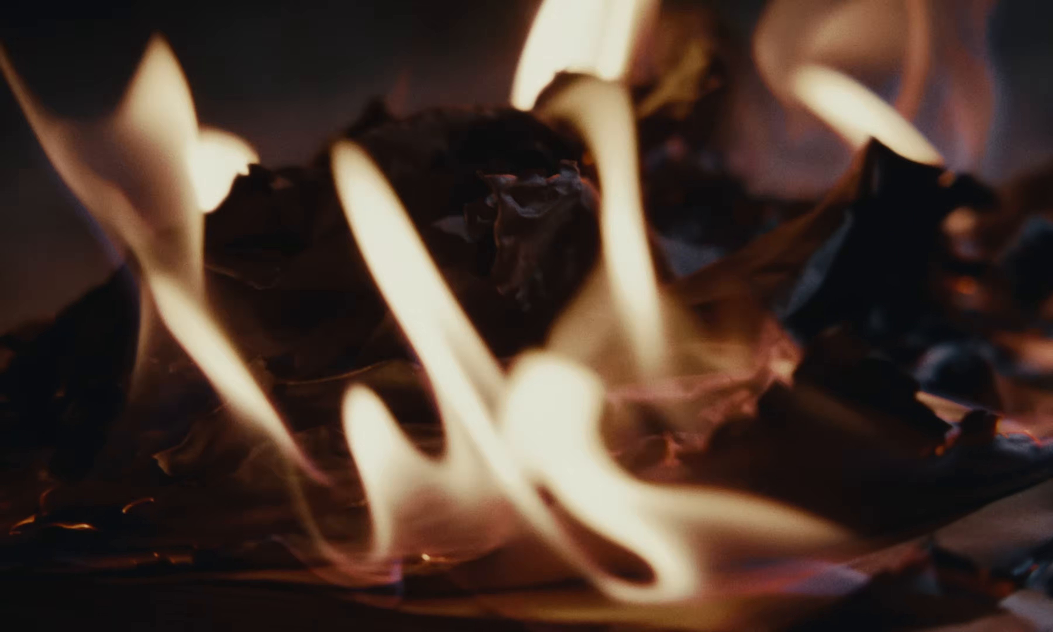 Begin The Sacrifice (2025) —  shot,  lighting