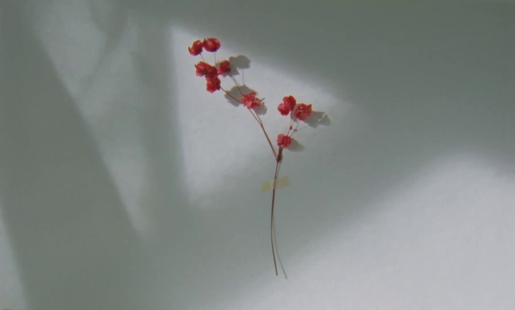 Don’t Let It Go (2020) —  shot,  lighting