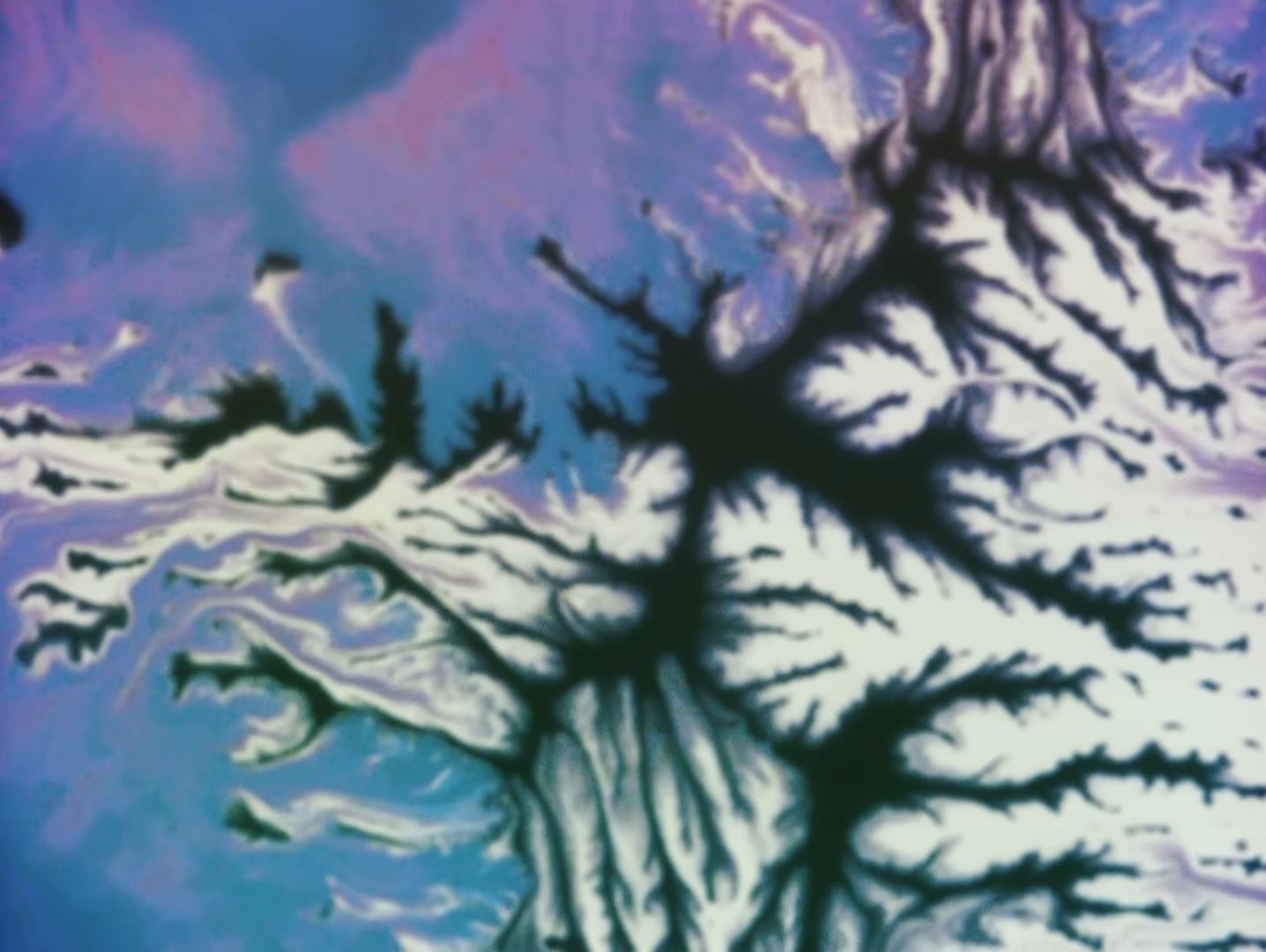 Weeds (2025) —  shot,  lighting