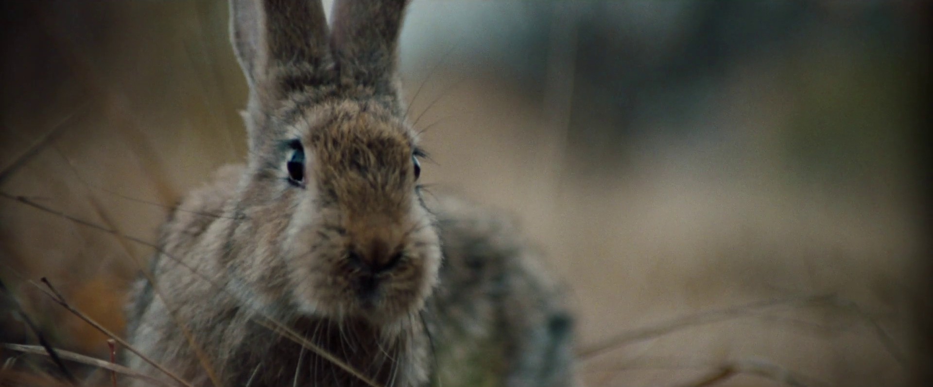 What a day (2021) —  shot,  lighting