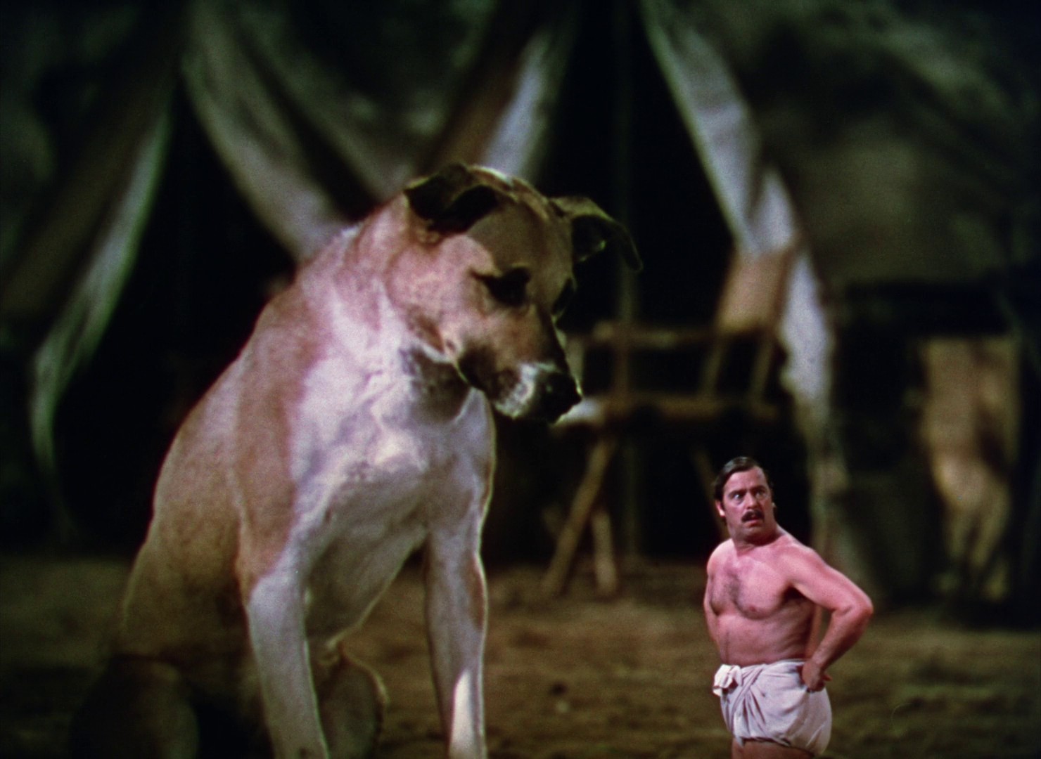 Dr. Cyclops (1940) —  shot,  lighting