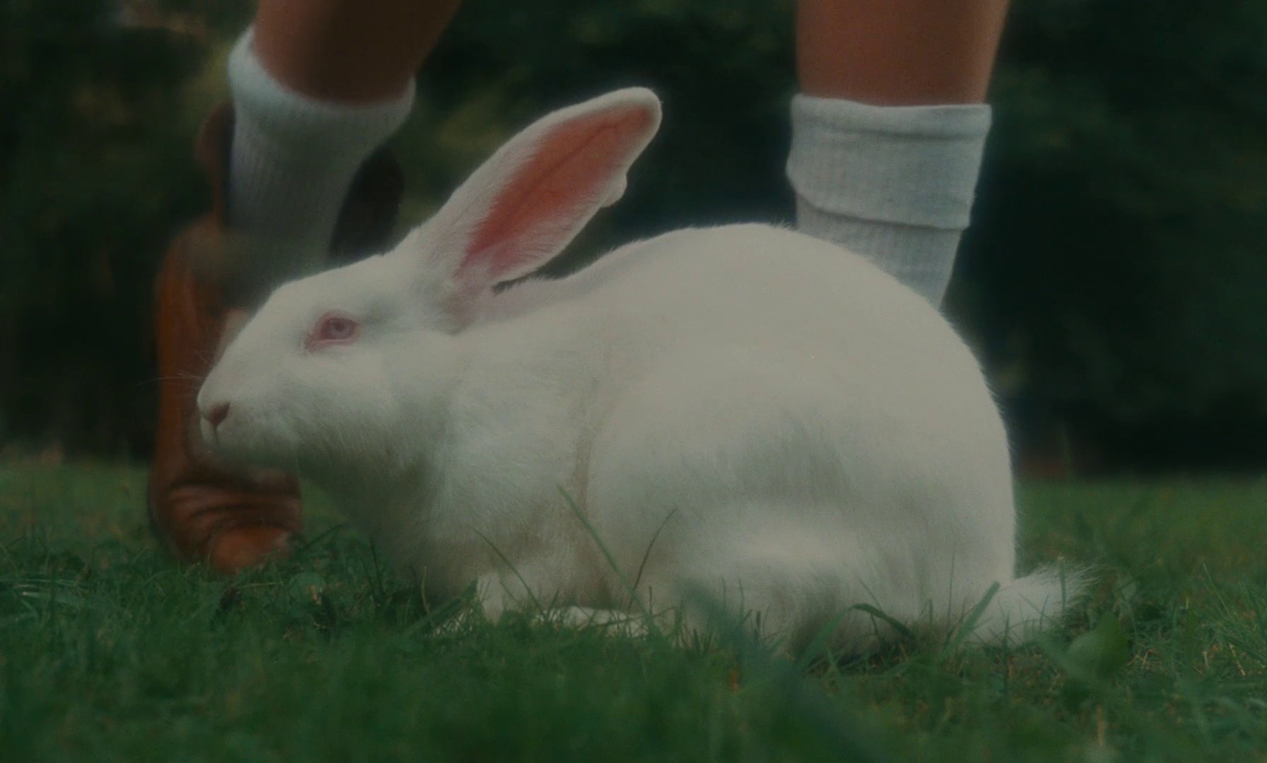 Immoral Women (1979) —  shot,  lighting