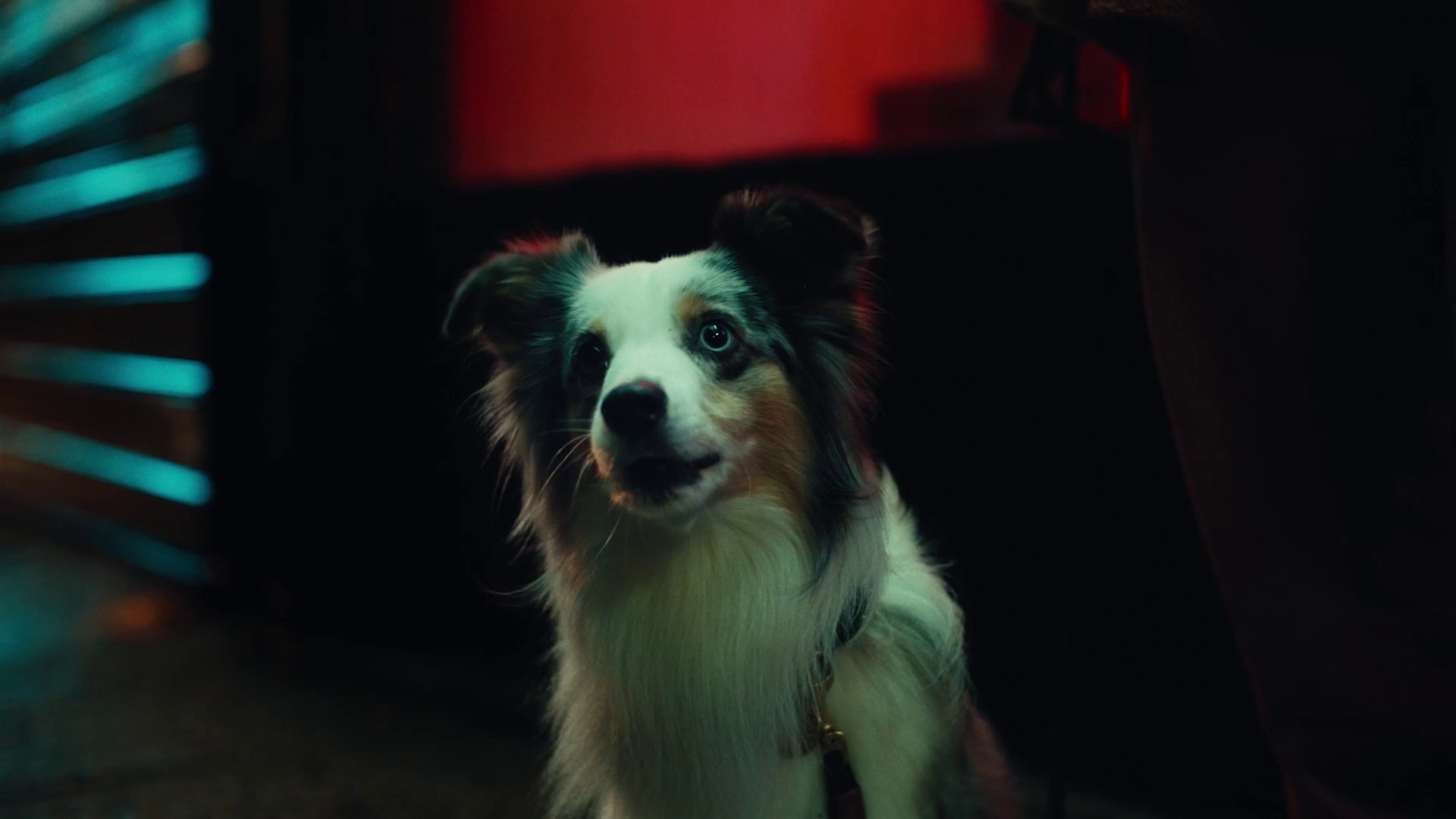 TextNow - Phone Smarter (2024) —  shot,  lighting