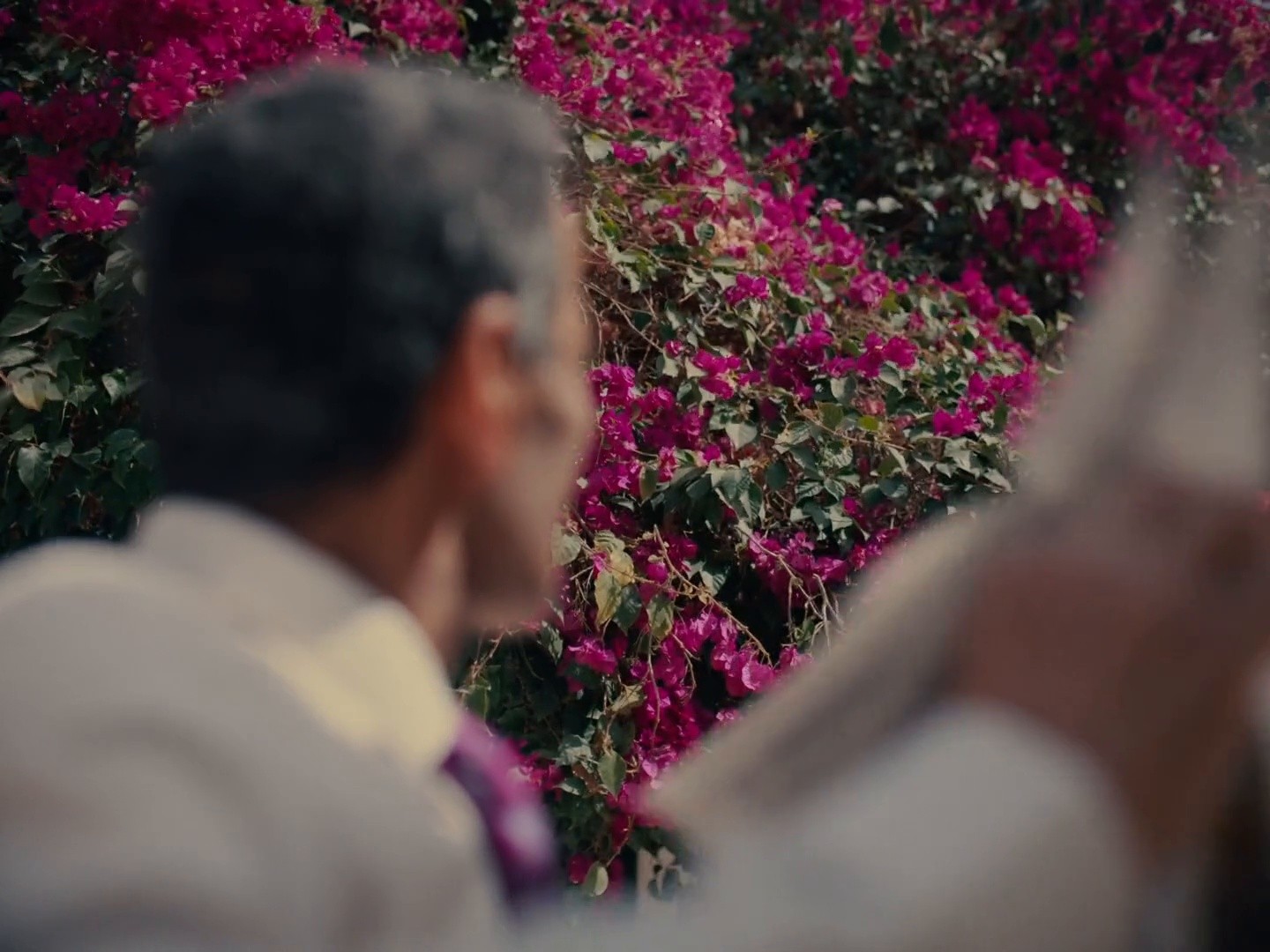 Vénus - Eden Garden (DC) (2024) —  shot,  lighting