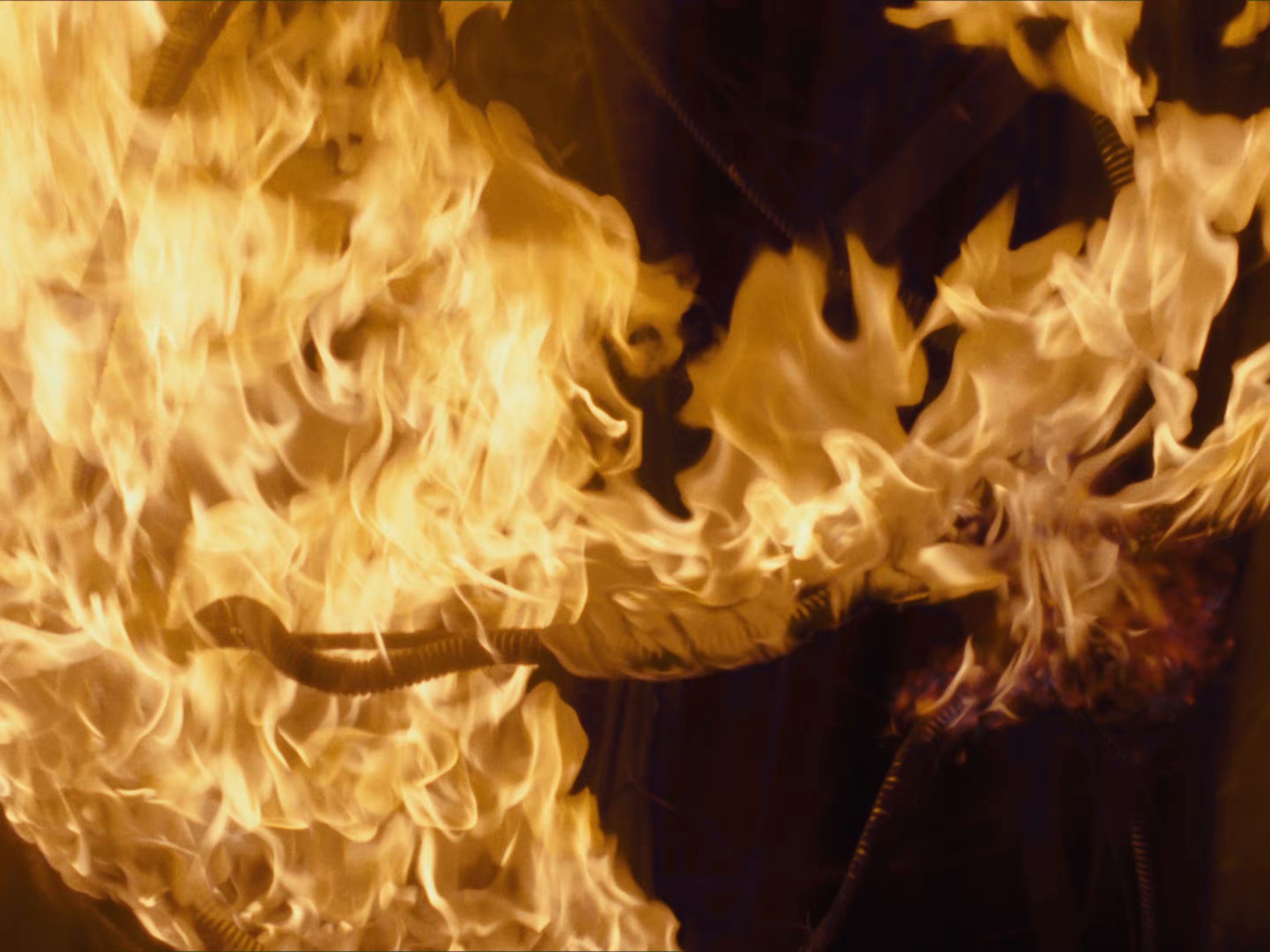 Golden Horizon (2026) —  shot,  lighting