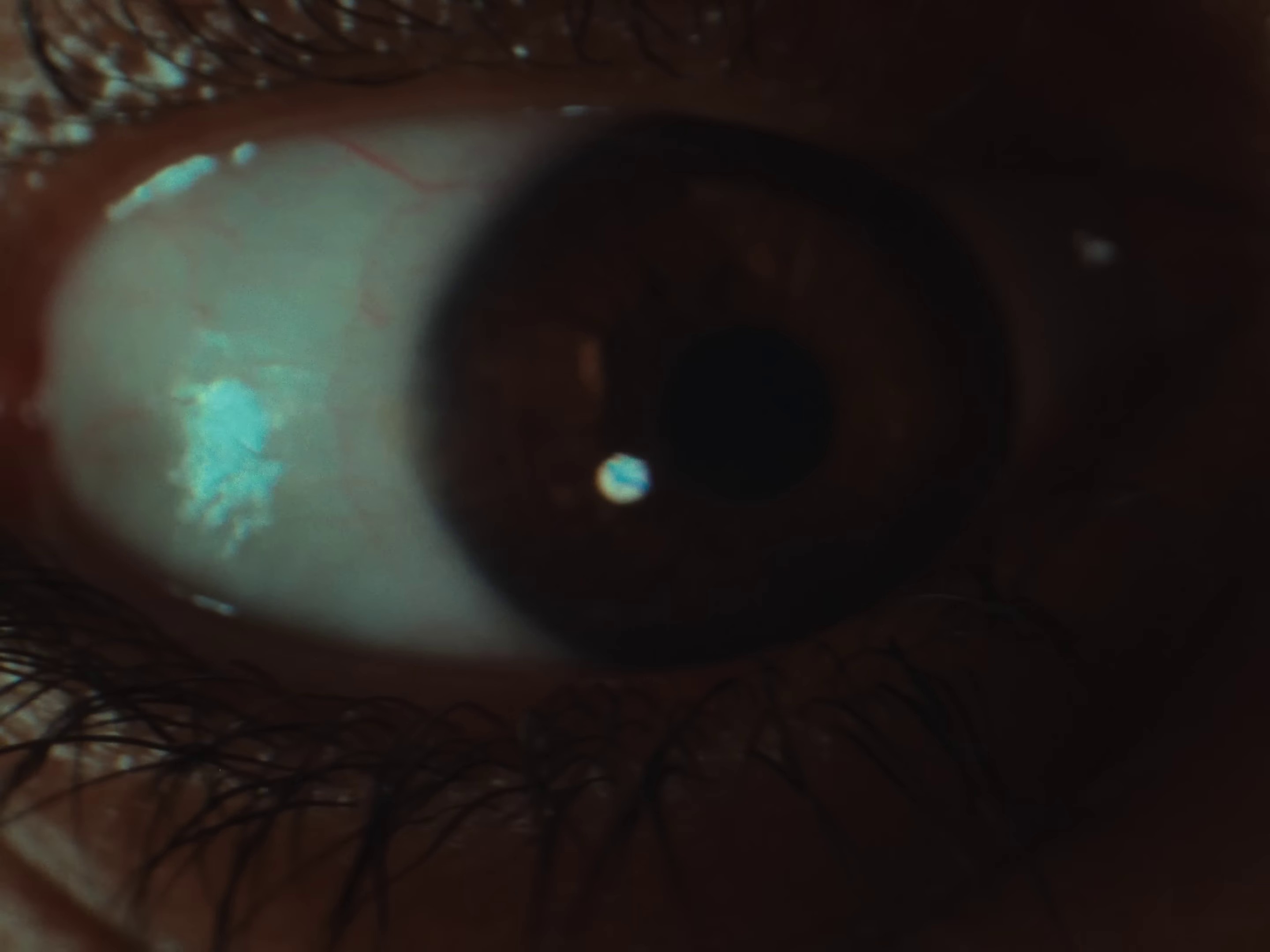 CRAYON (2024) —  shot,  lighting