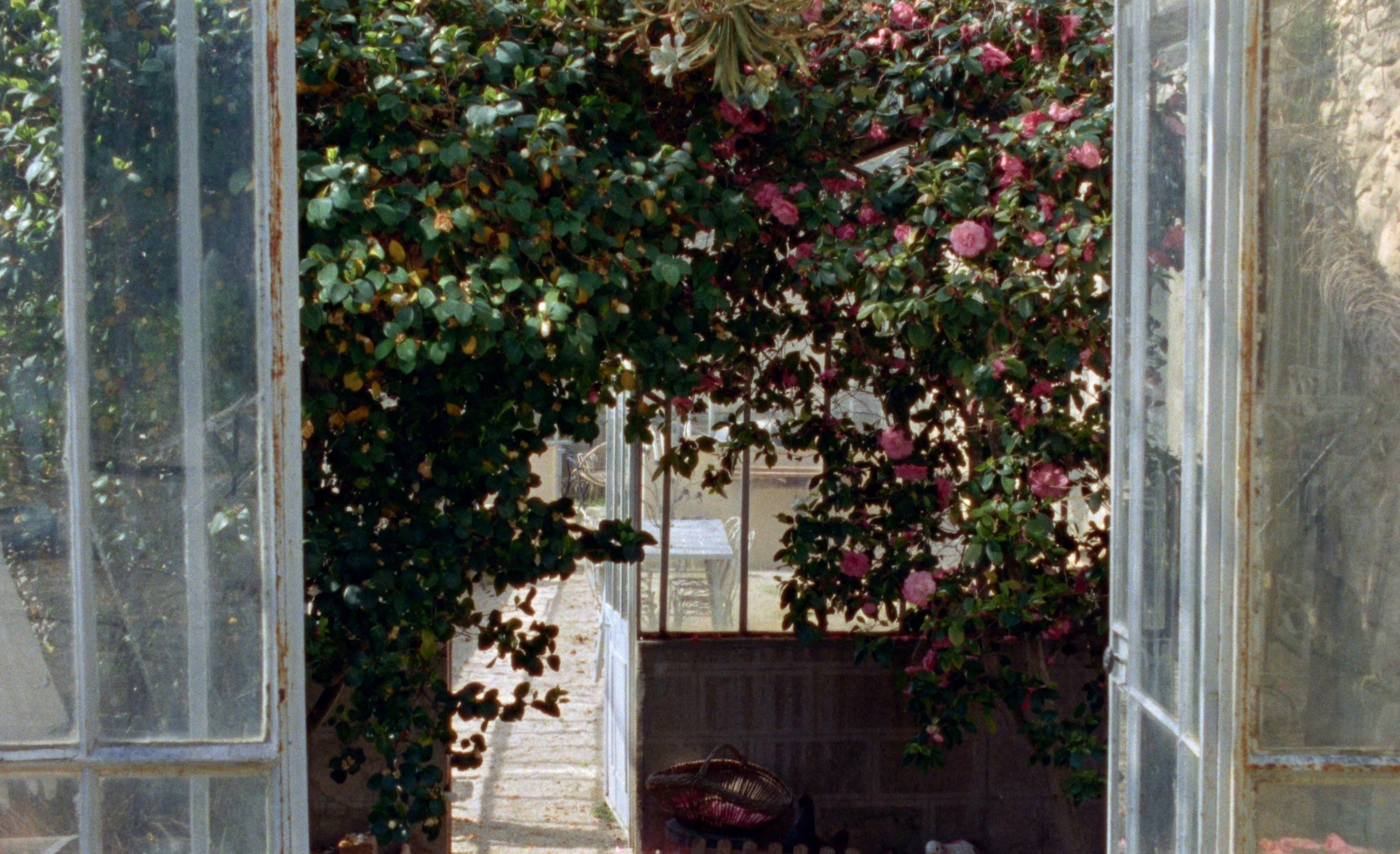 Casse-toi (2025) —  shot,  lighting