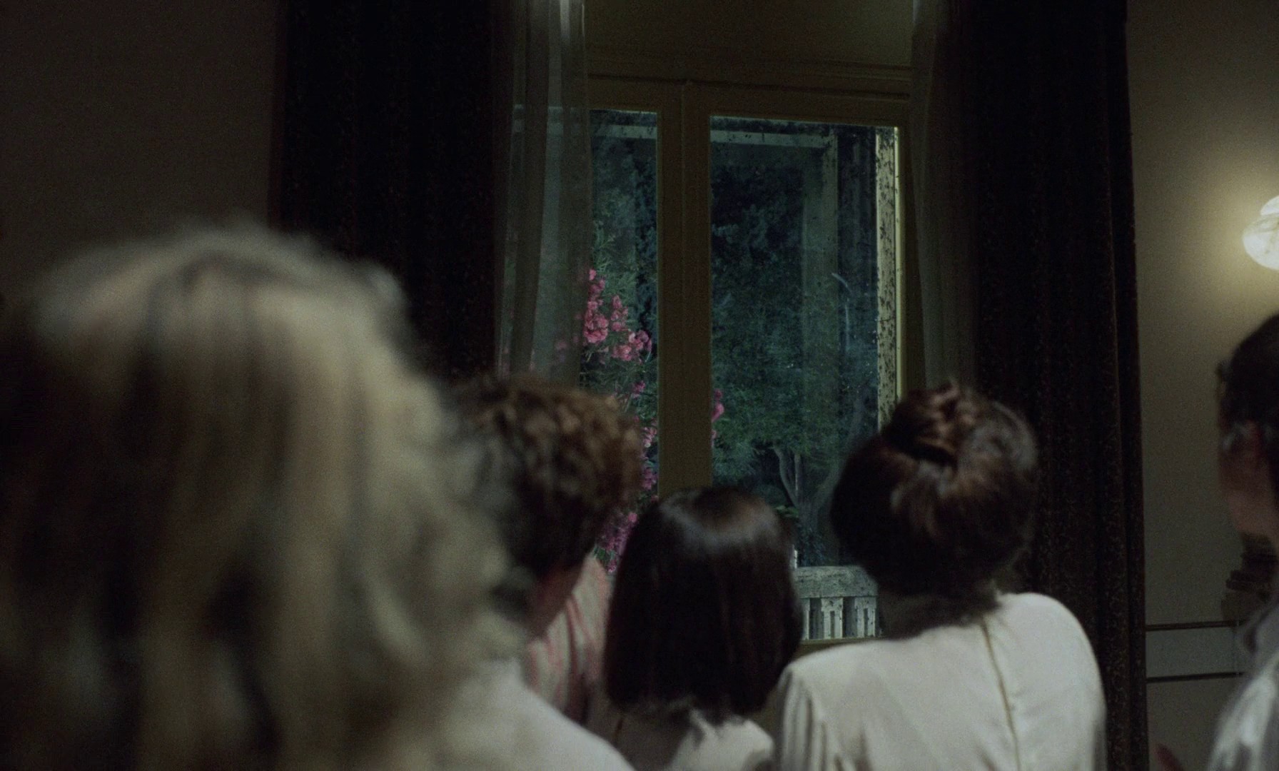 Phenomena (1985) —  shot,  lighting