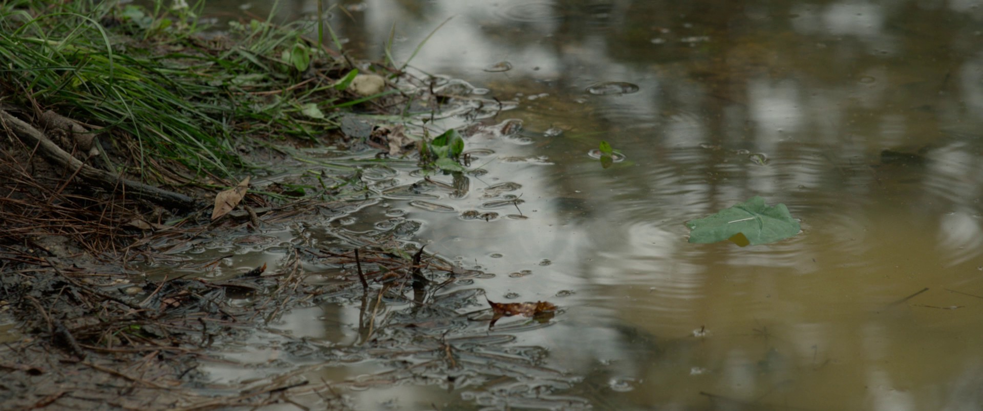 The Hunt (2020) —  shot,  lighting