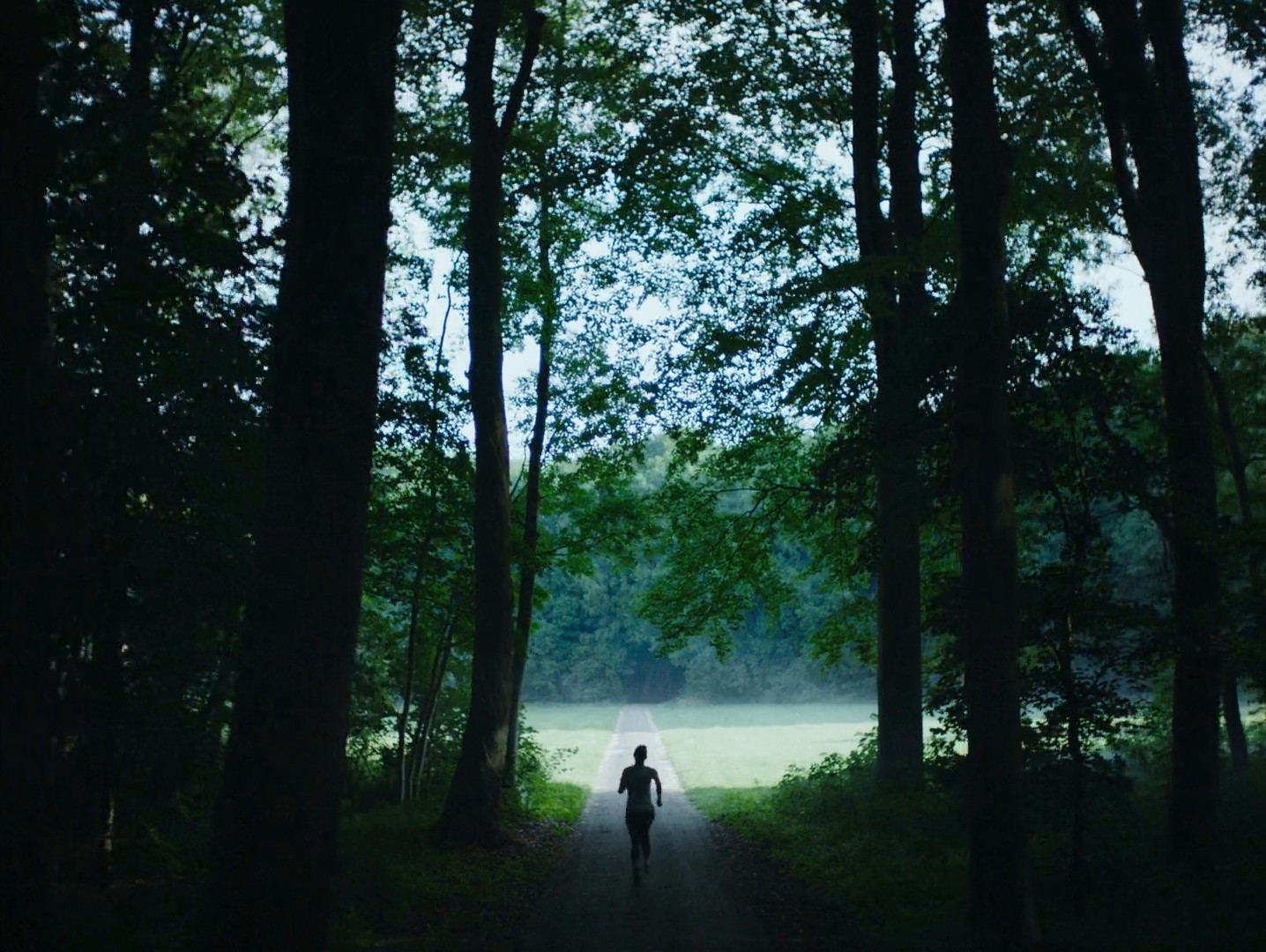 PURE (2020) —  shot,  lighting