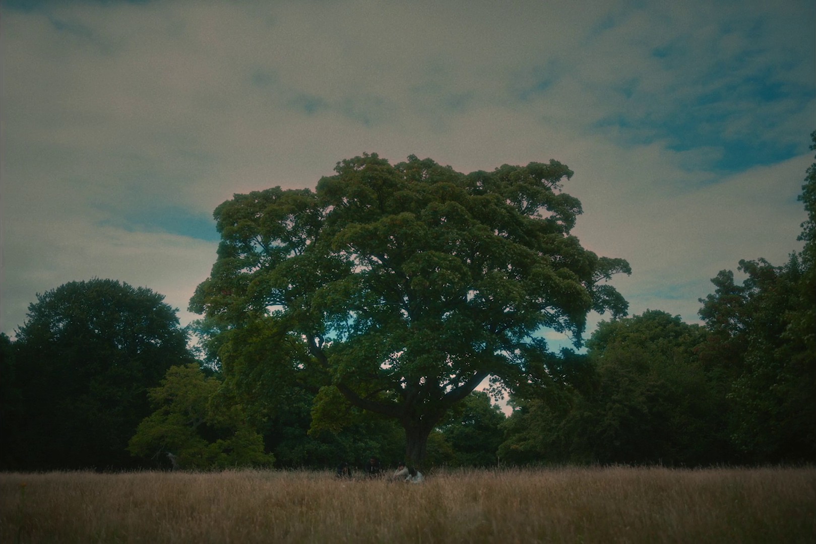 TRAP PHONE (2020) —  shot,  lighting