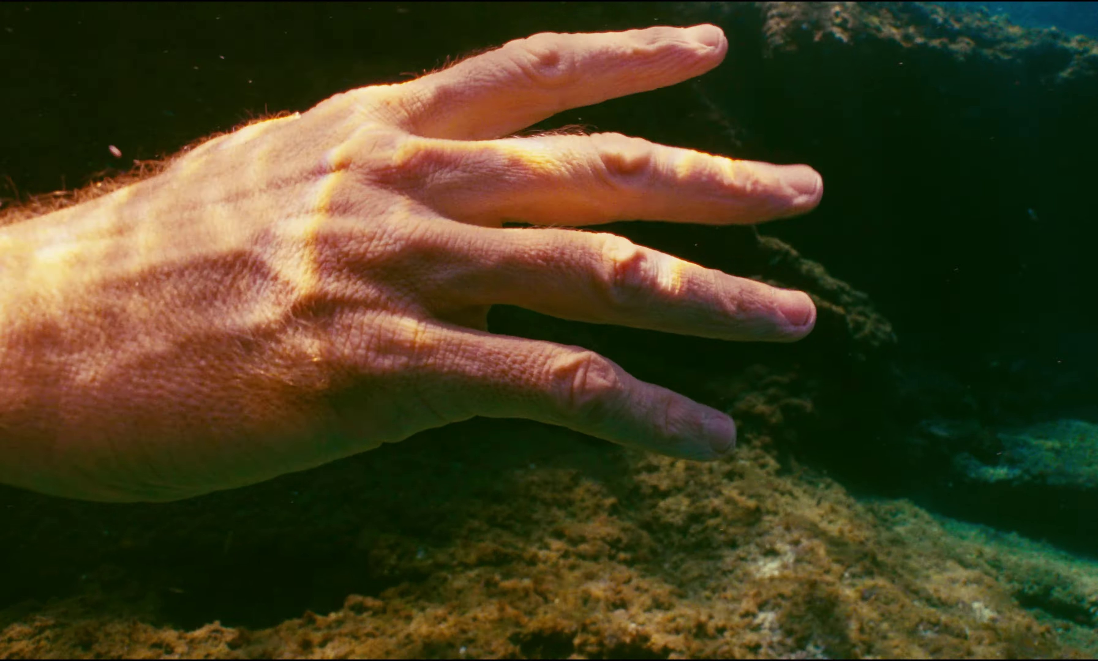 L'été (2023) —  shot,  lighting