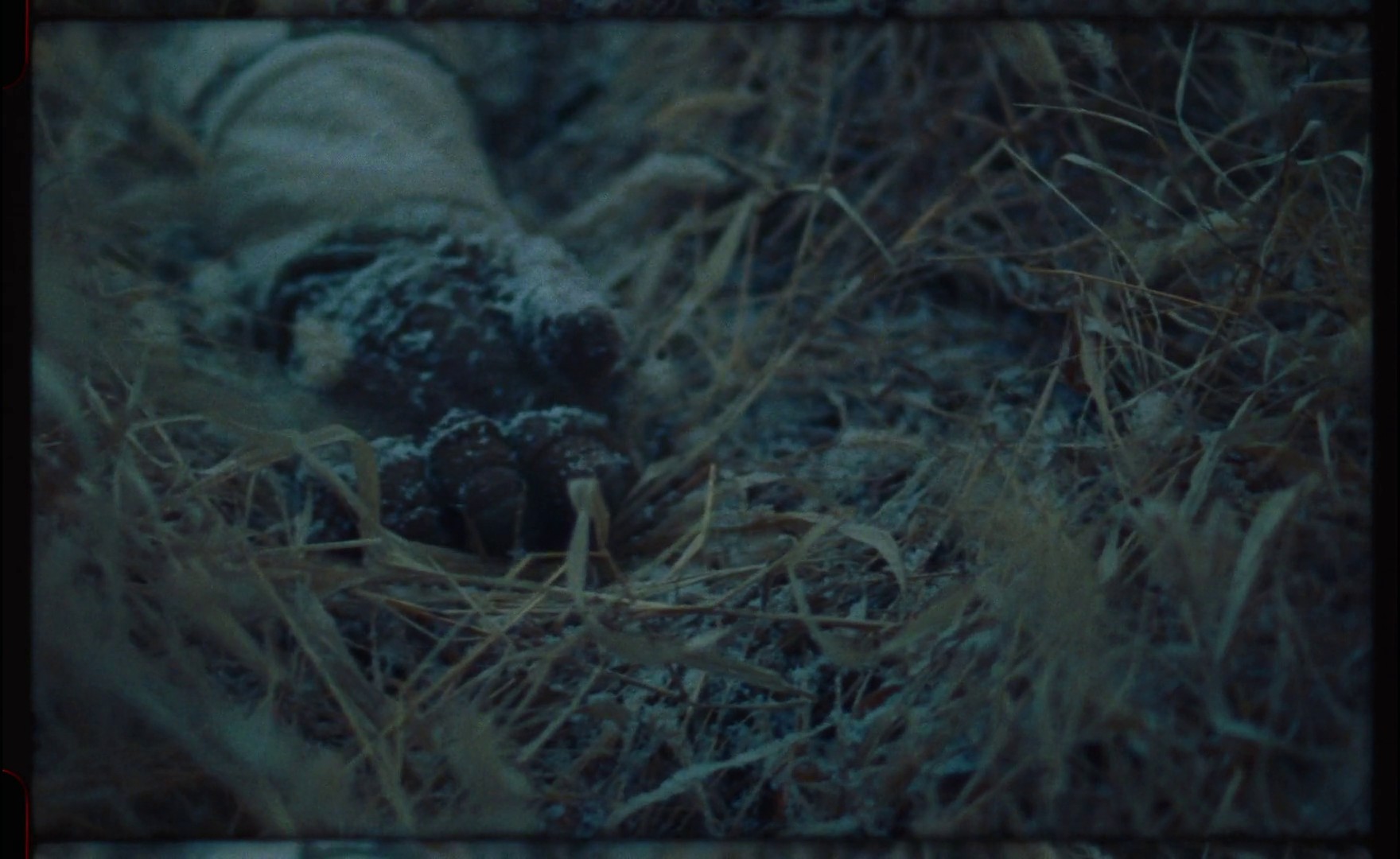 coffee for dinner (2020) —  shot,  lighting