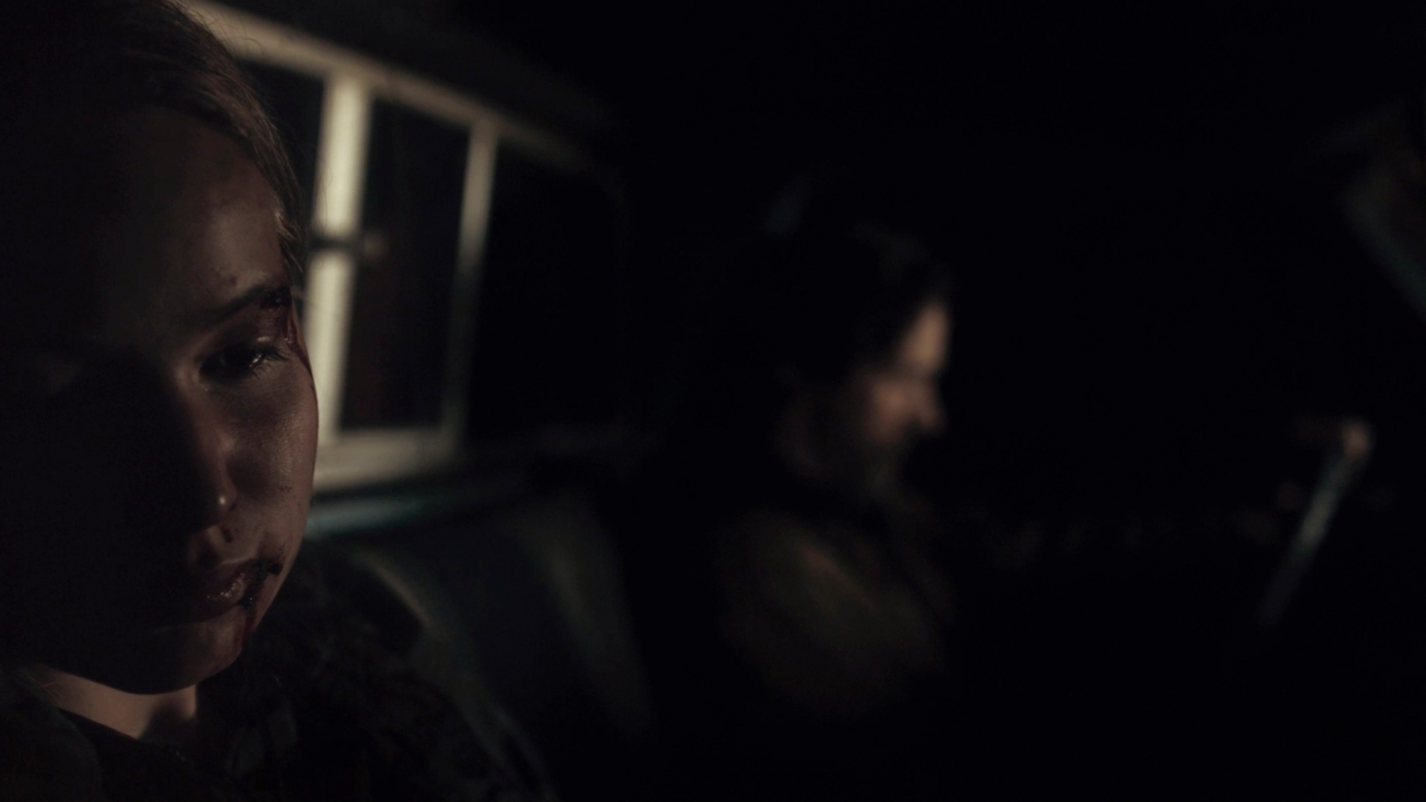 Winter's Bone (2010) —  shot,  lighting