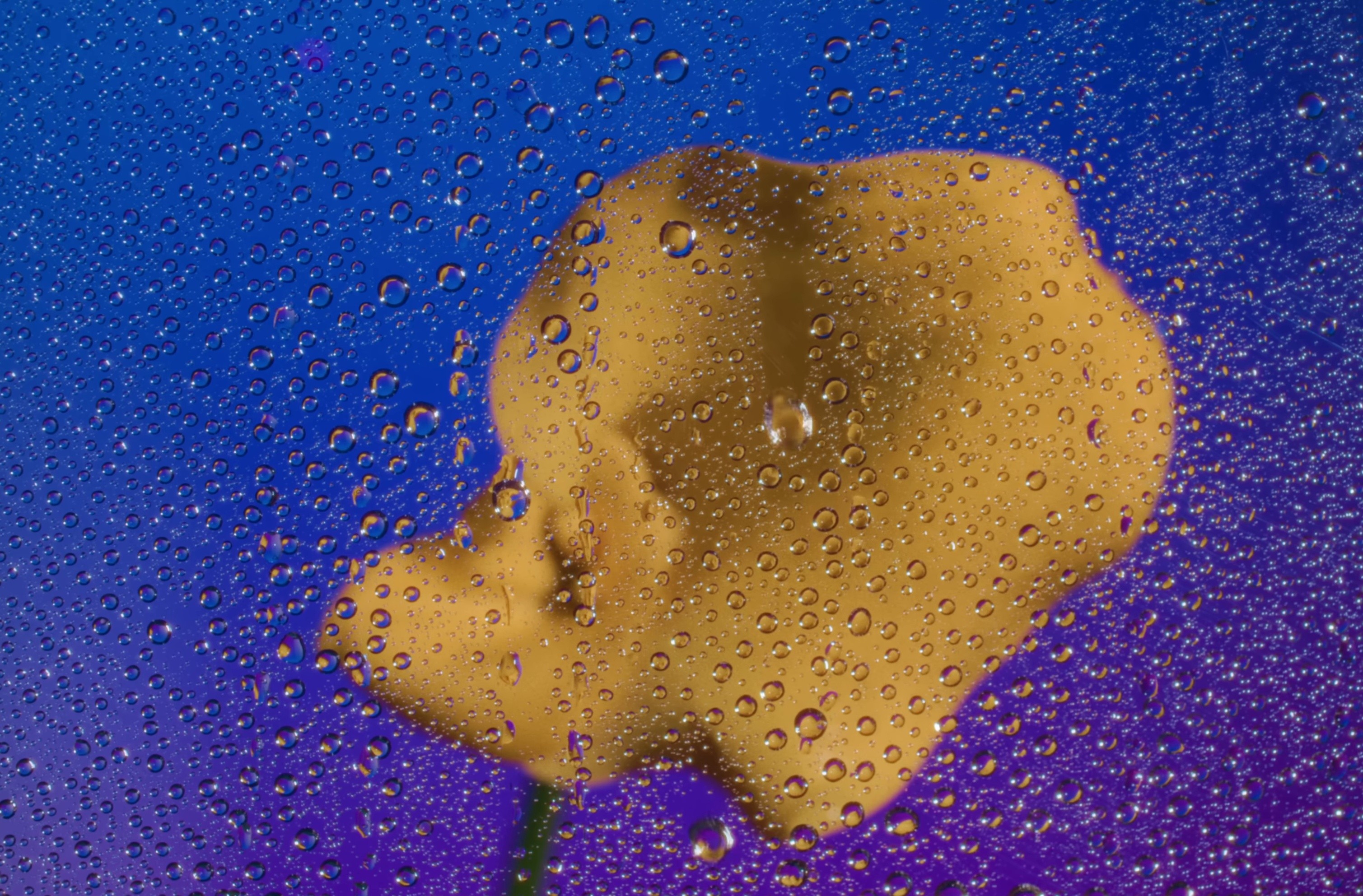 Nằm Bên Anh (2025) —  shot,  lighting