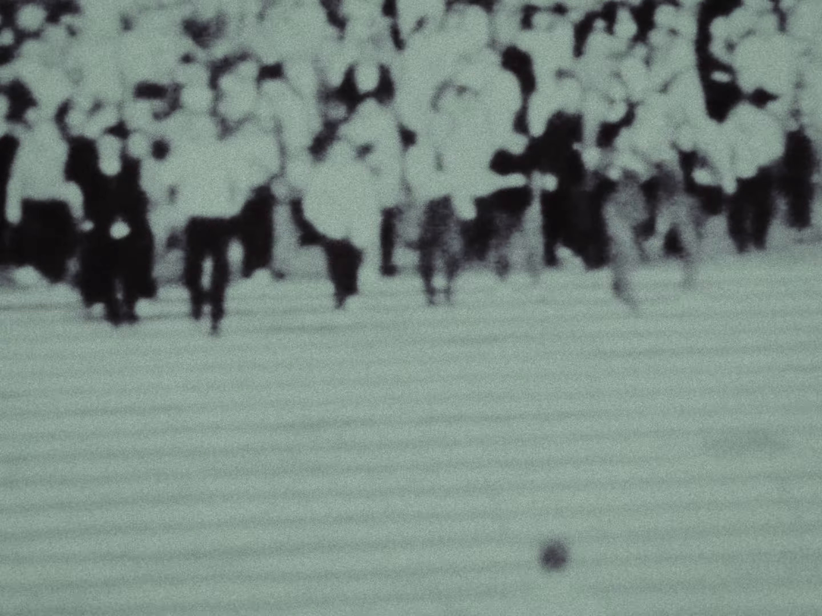 TRANSFORMANDO (2024) —  shot,  lighting