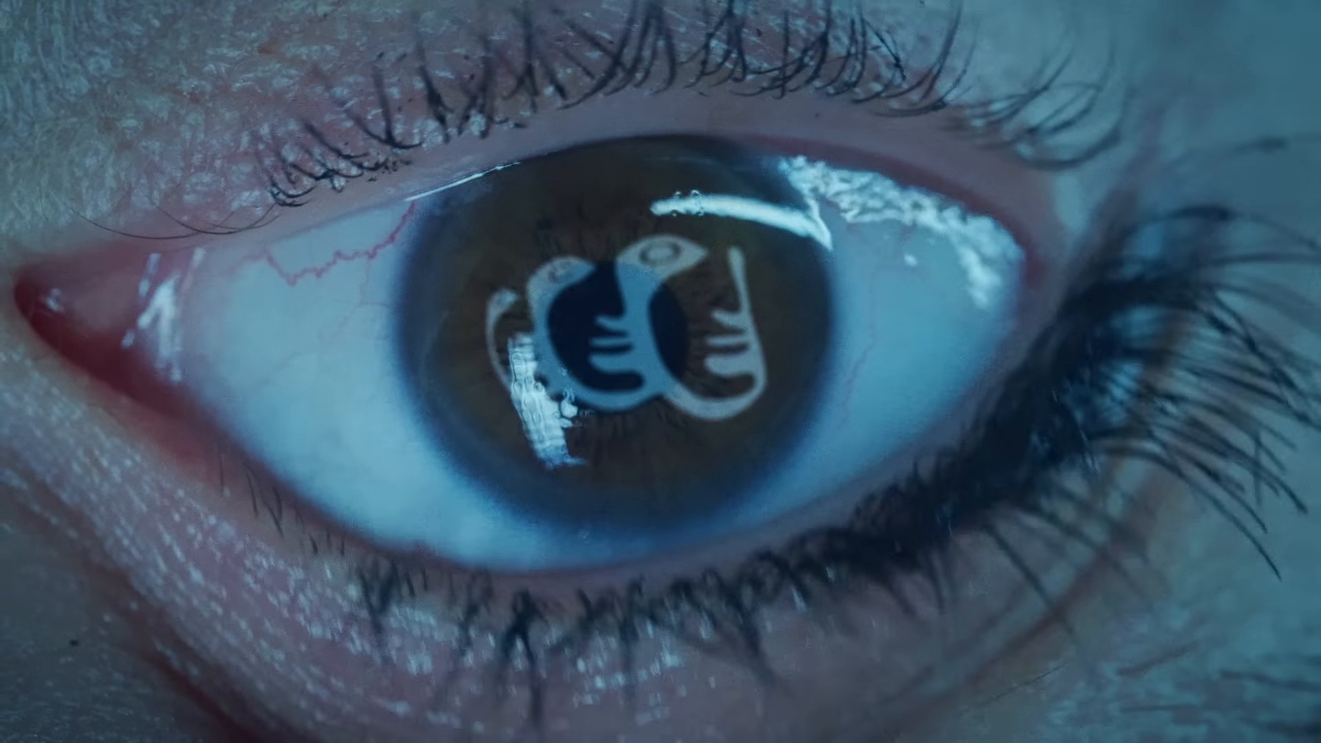 Eco (2025) —  shot,  lighting