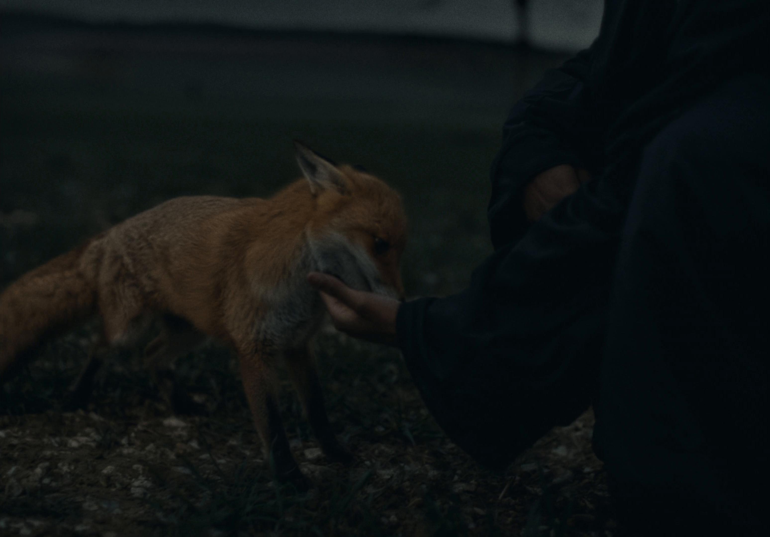 NAVRÉ (2025) —  shot,  lighting