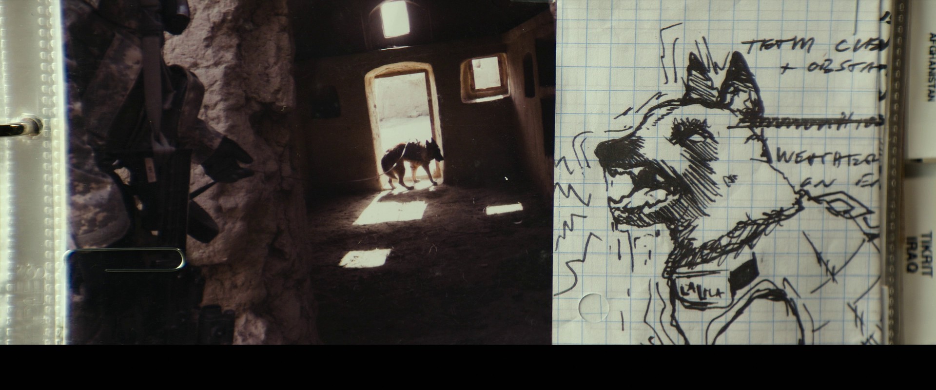 Dog (2022) —  shot,  lighting