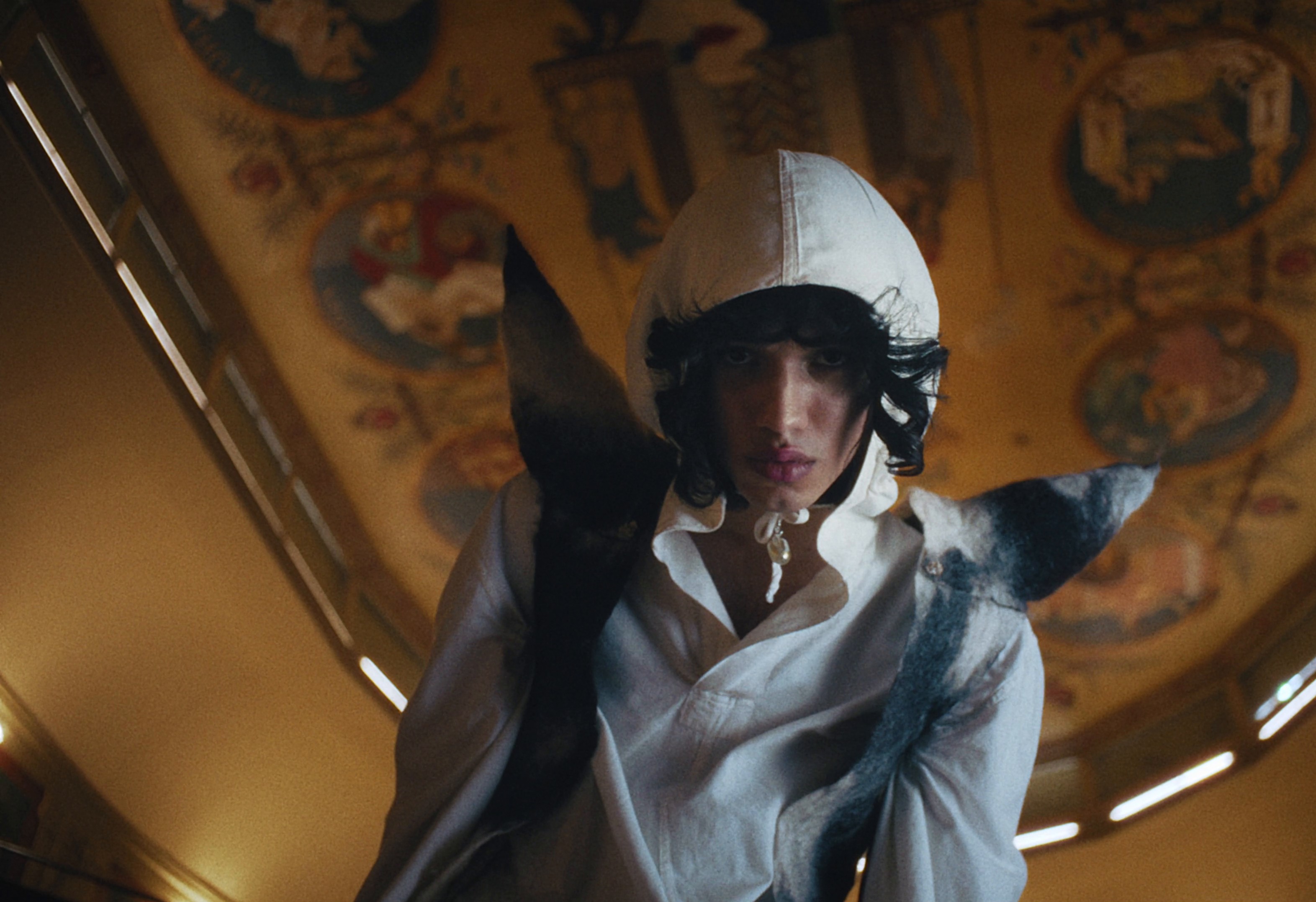 Evade House – Undressing the Spirits (2024) —  shot,  lighting