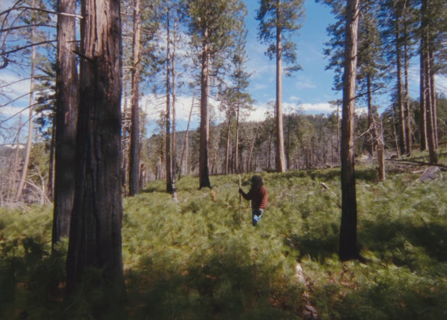 Hang On (2024) —  shot,  lighting