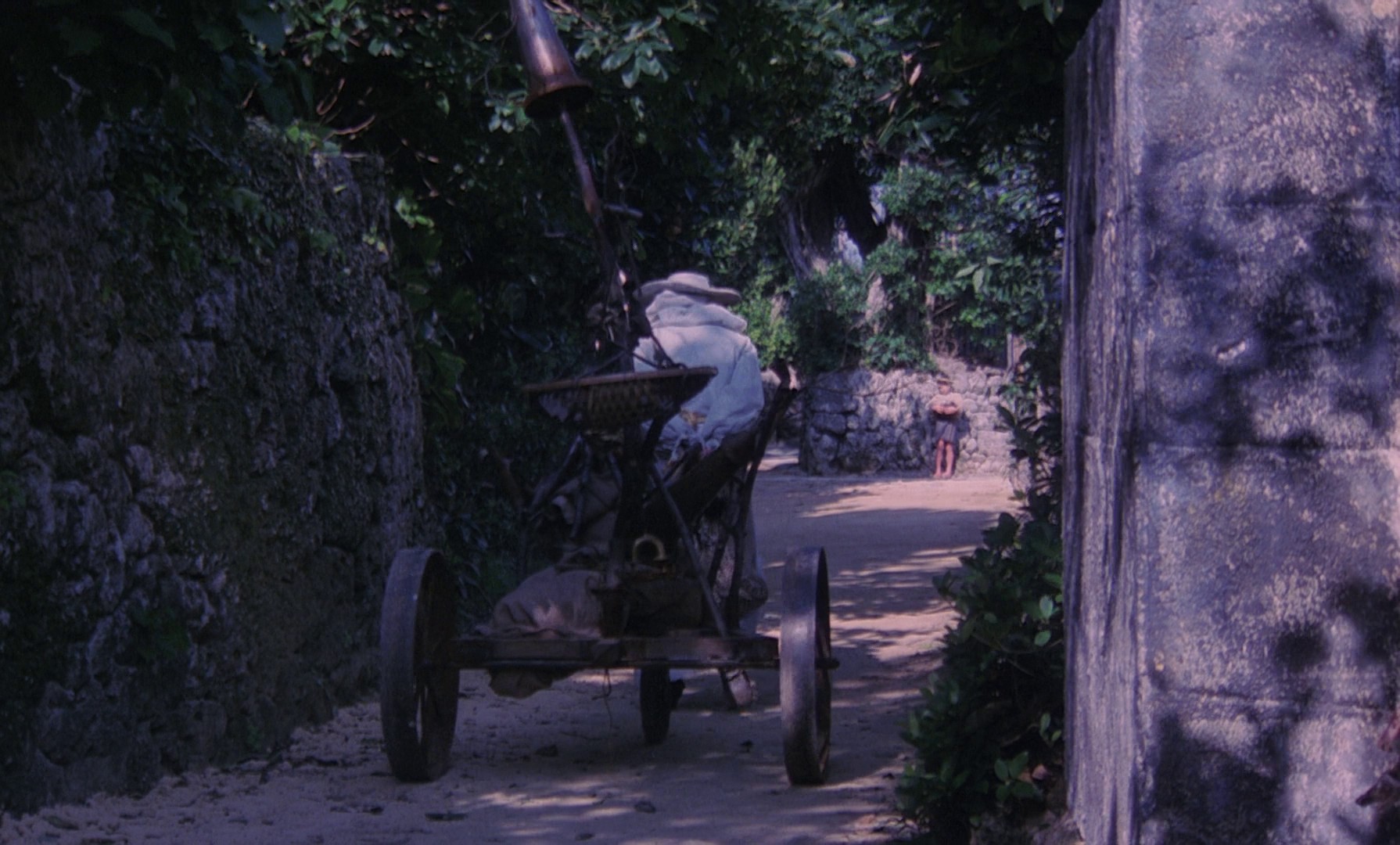 Farewell to the Ark (1984) —  shot,  lighting