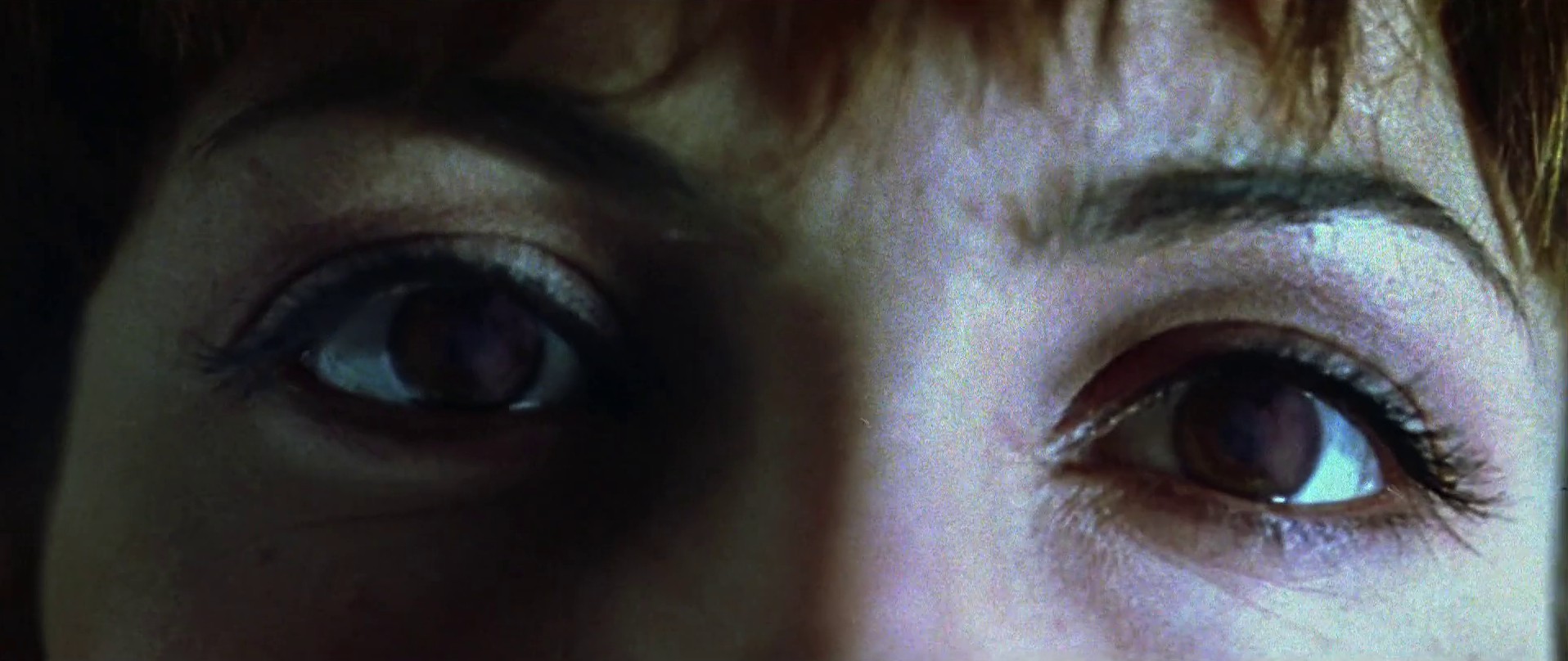 Lovers of the Arctic Circle (1998) —  shot,  lighting