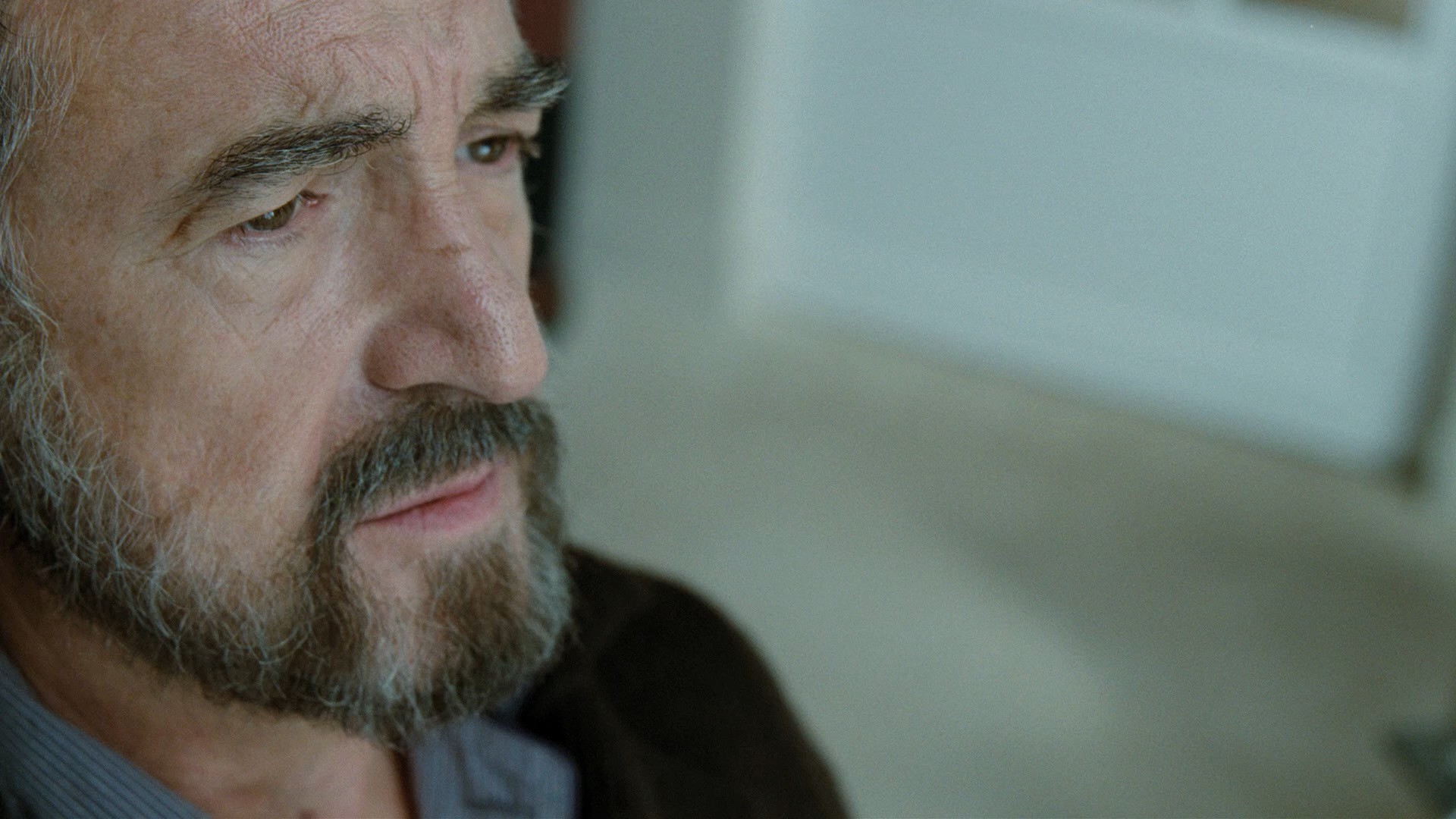 The Intouchables (2011) —  shot,  lighting