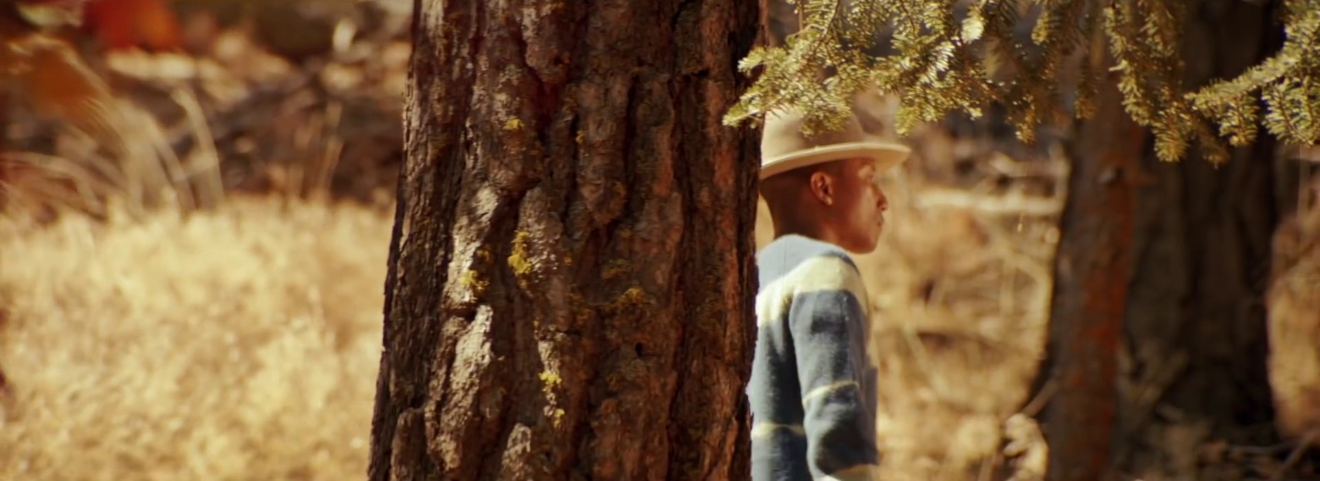 Gust of Wind  (2014) —  shot,  lighting