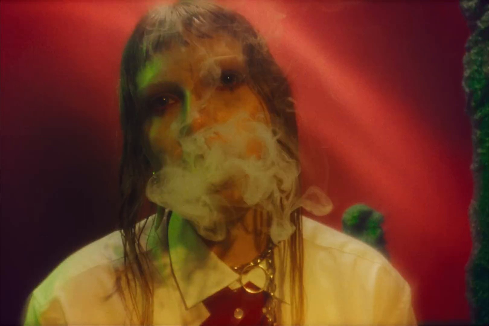 n'as tu jamais vu d'oiseaux?  (Clip Officiel) (2025) —  shot,  lighting