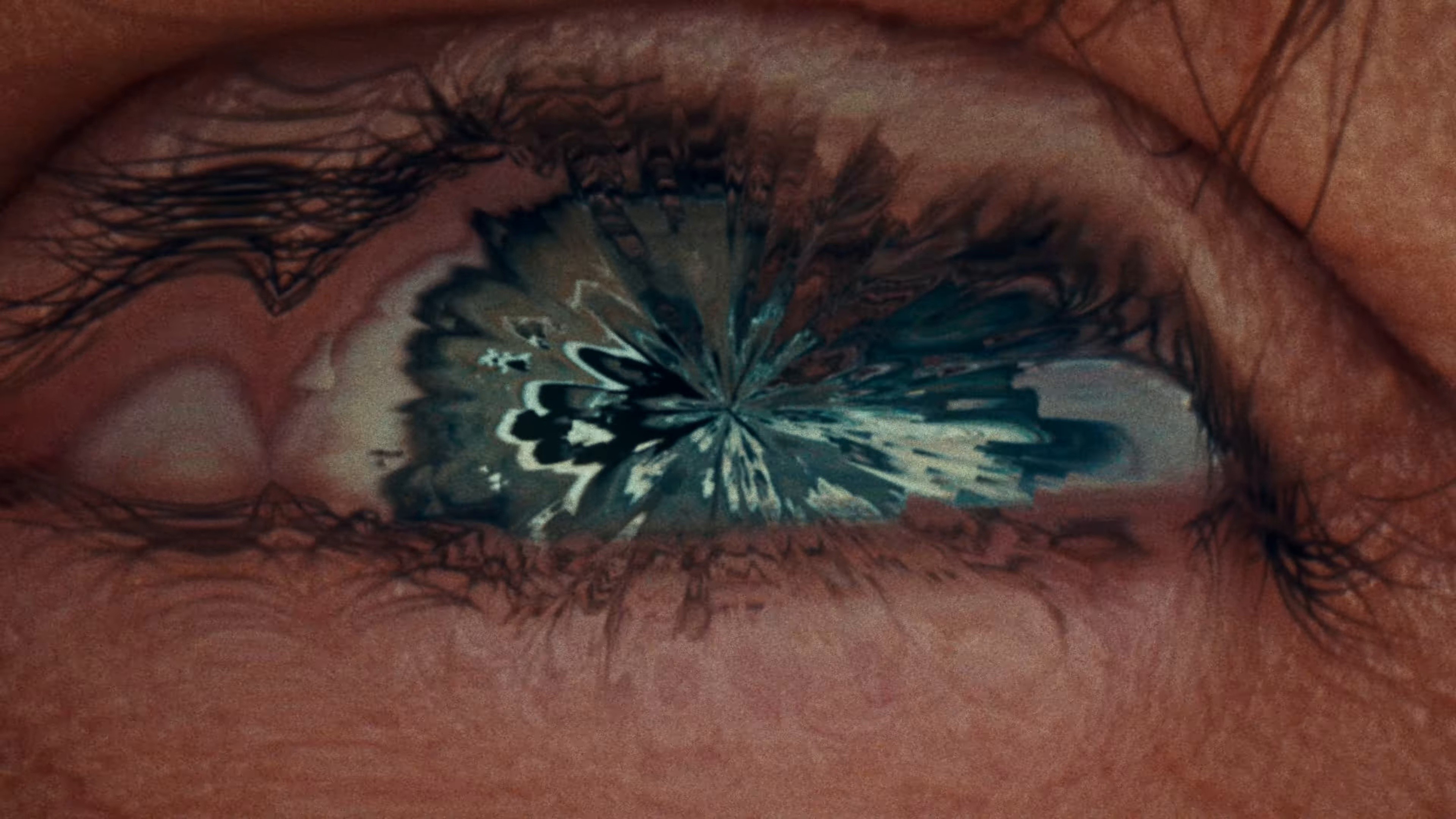 THE BEAUTY OF IT ALL (2024) —  shot,  lighting