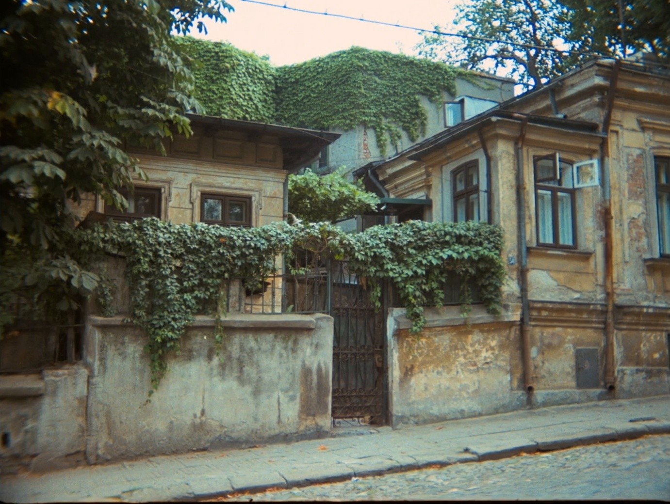 Do Not Expect Too Much from the End of the World (2024) —  shot,  lighting