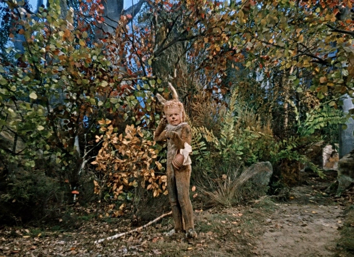 Little Red Riding-Hood (1962) —  shot,  lighting