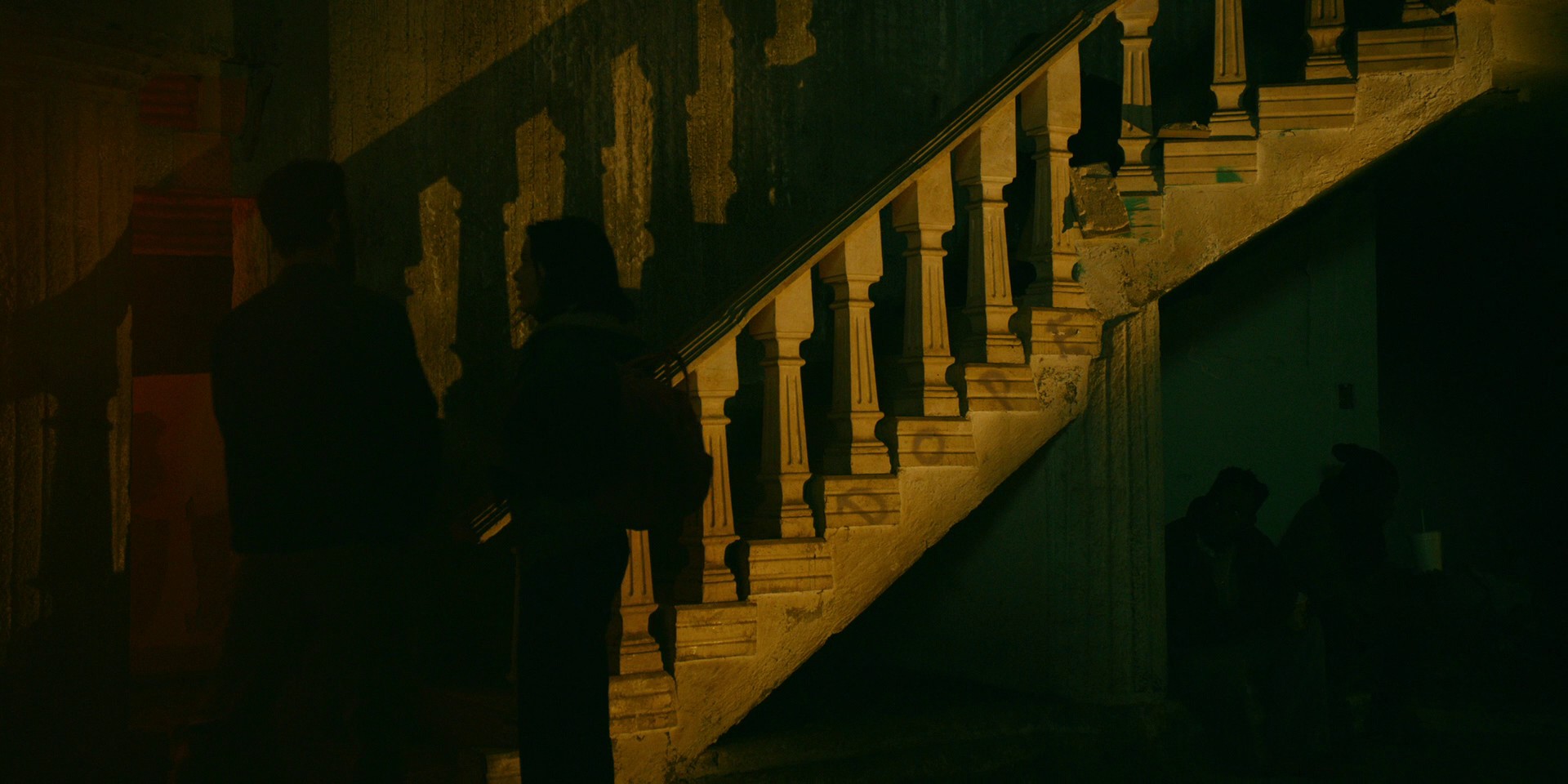 Foxes and Coyotes (2021) —  shot,  lighting