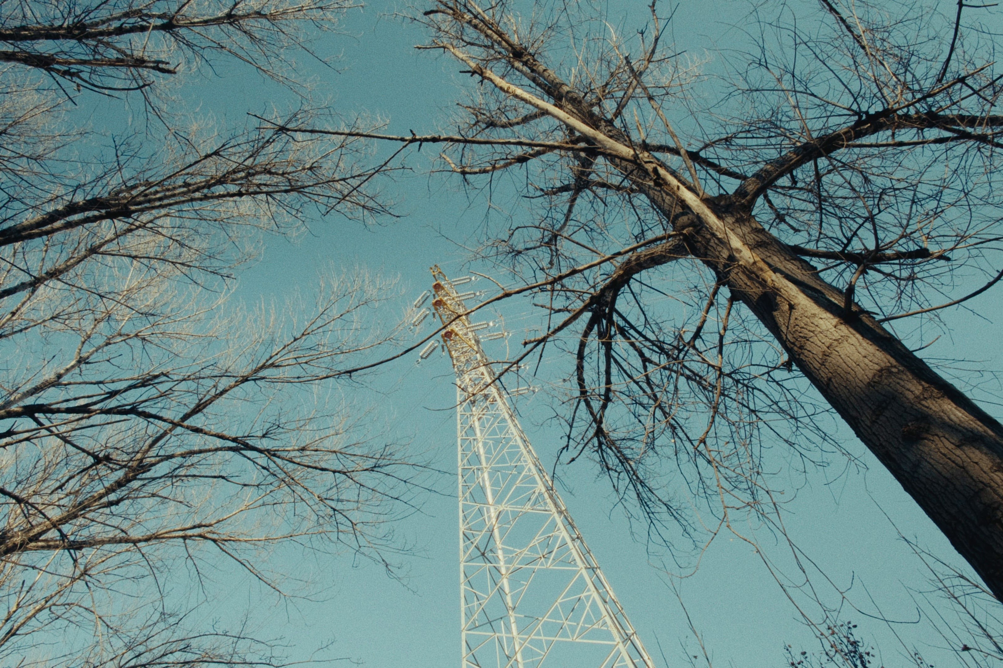 25 (2026) —  shot,  lighting