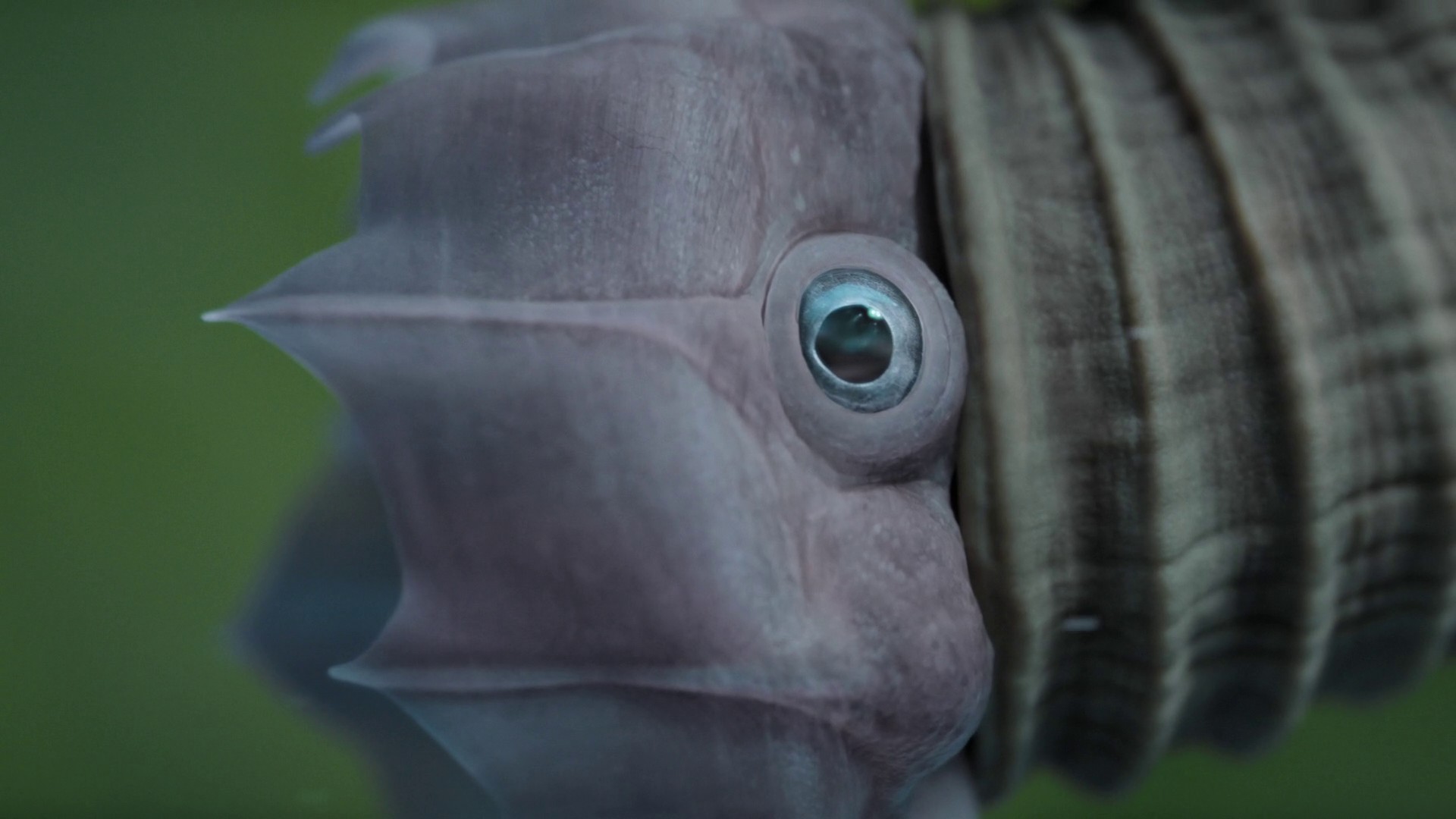 Badlands (2023) —  shot,  lighting