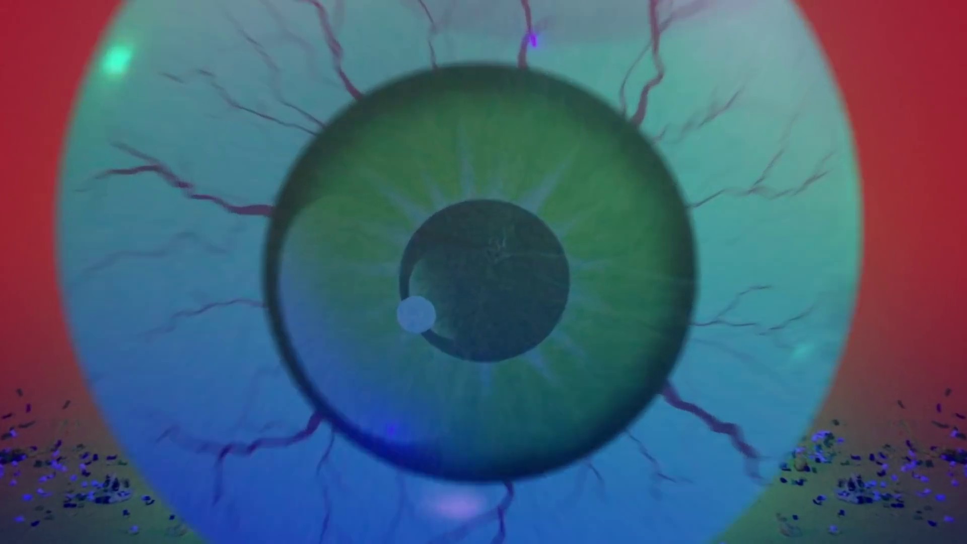 Chameleon (2016) —  shot,  lighting