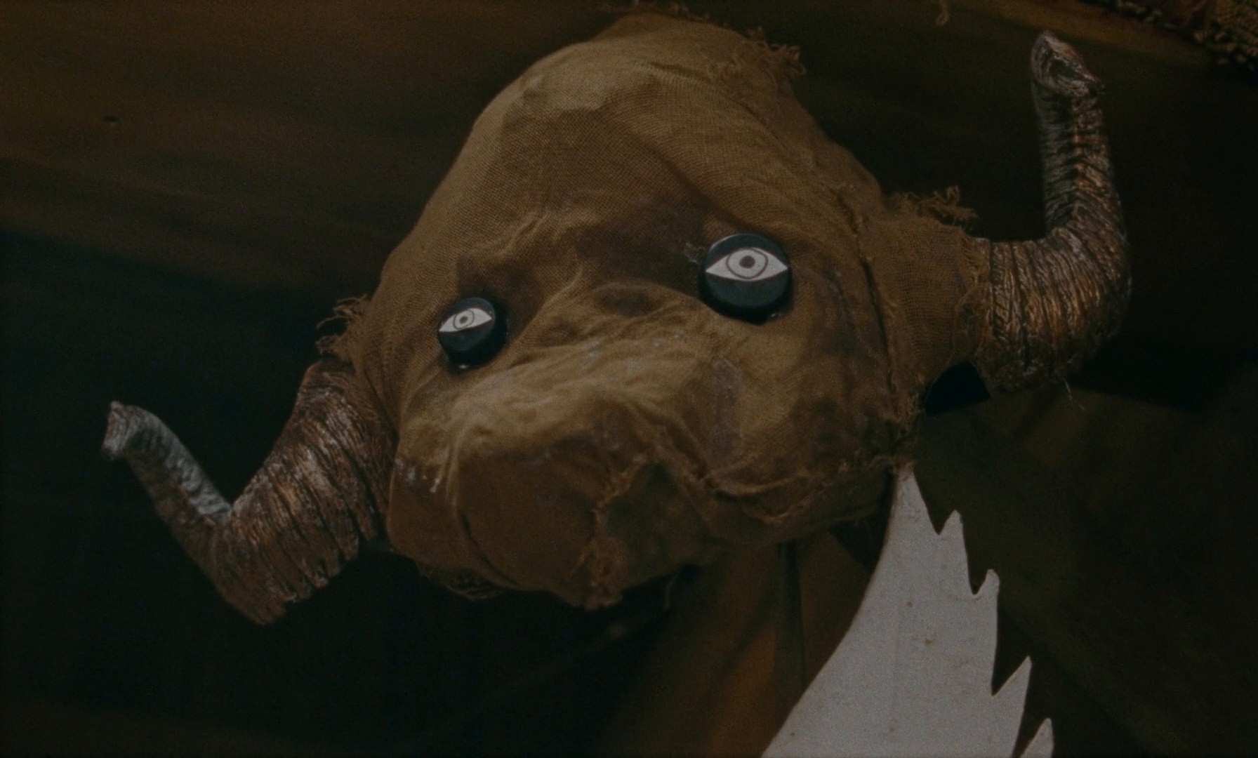 Janet Planet (2024) —  shot,  lighting