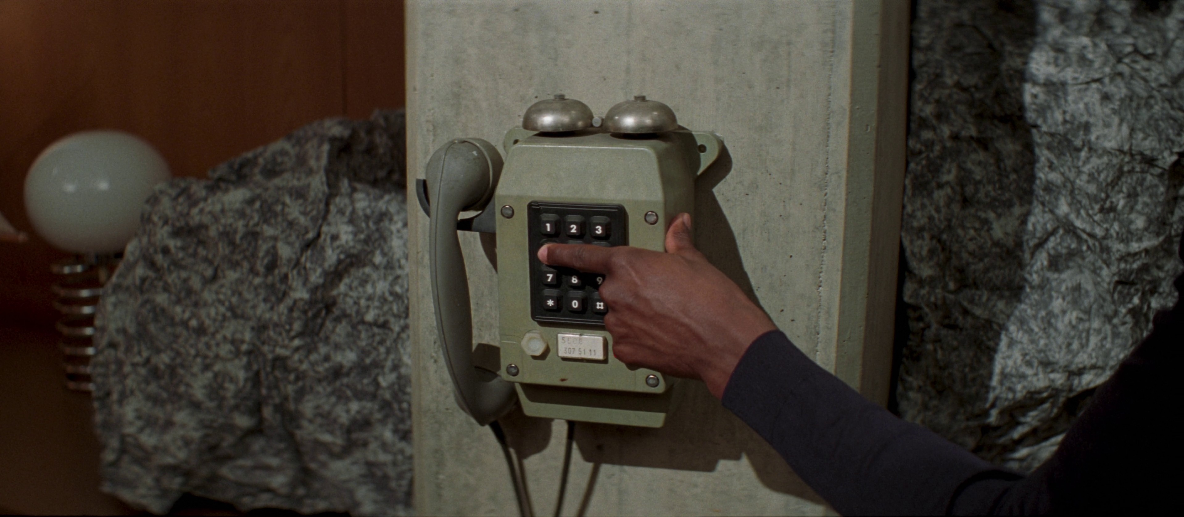 MIGROS - SALVIA ROSMARINUS (2024) —  shot,  lighting