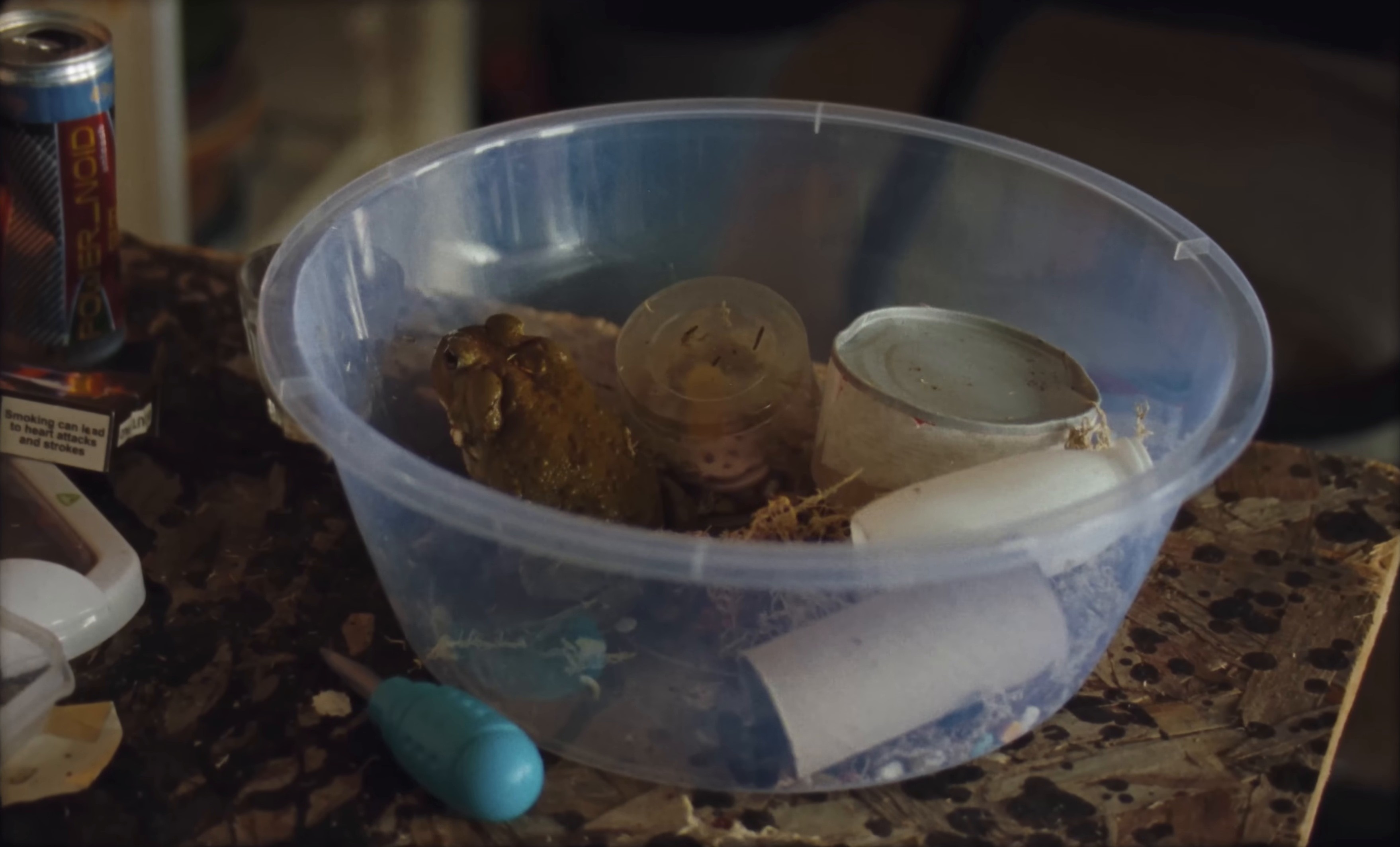 Bug (2024) —  shot,  lighting