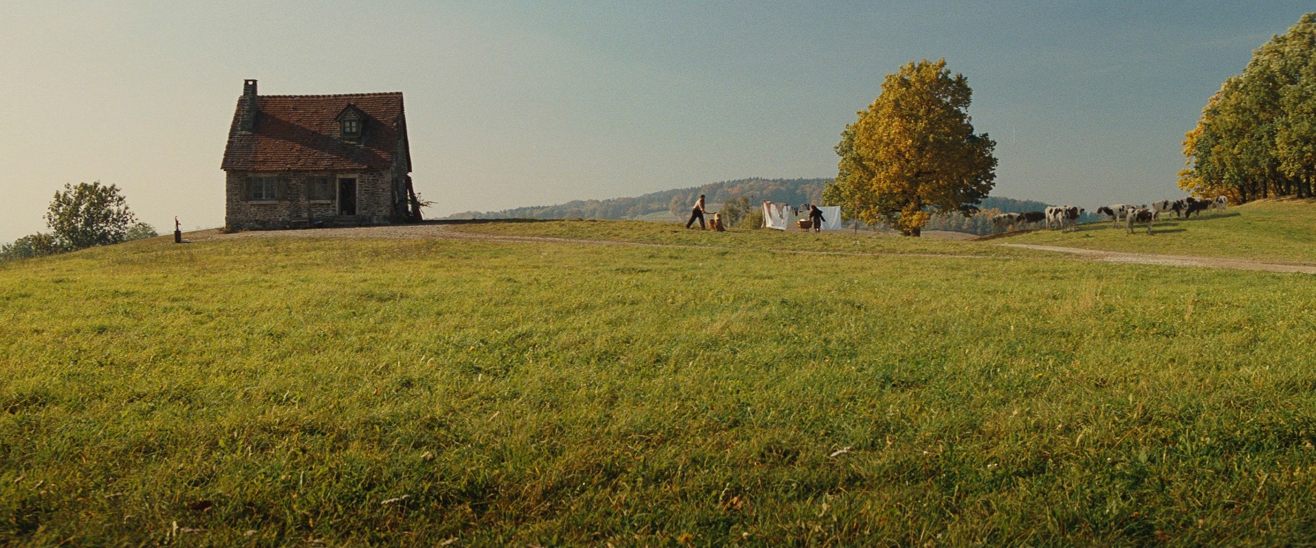Inglourious Basterds (2009) —  shot,  lighting