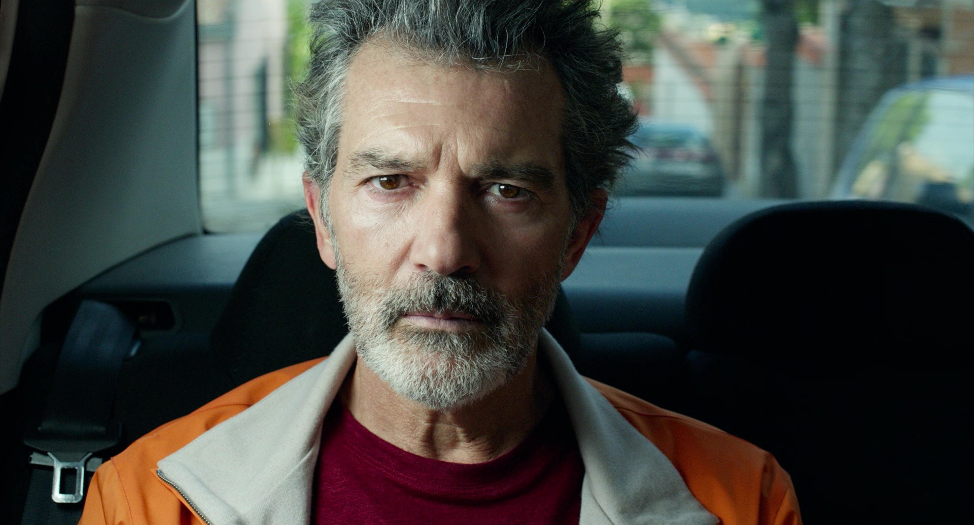 Pain and Glory (2019) —  shot,  lighting