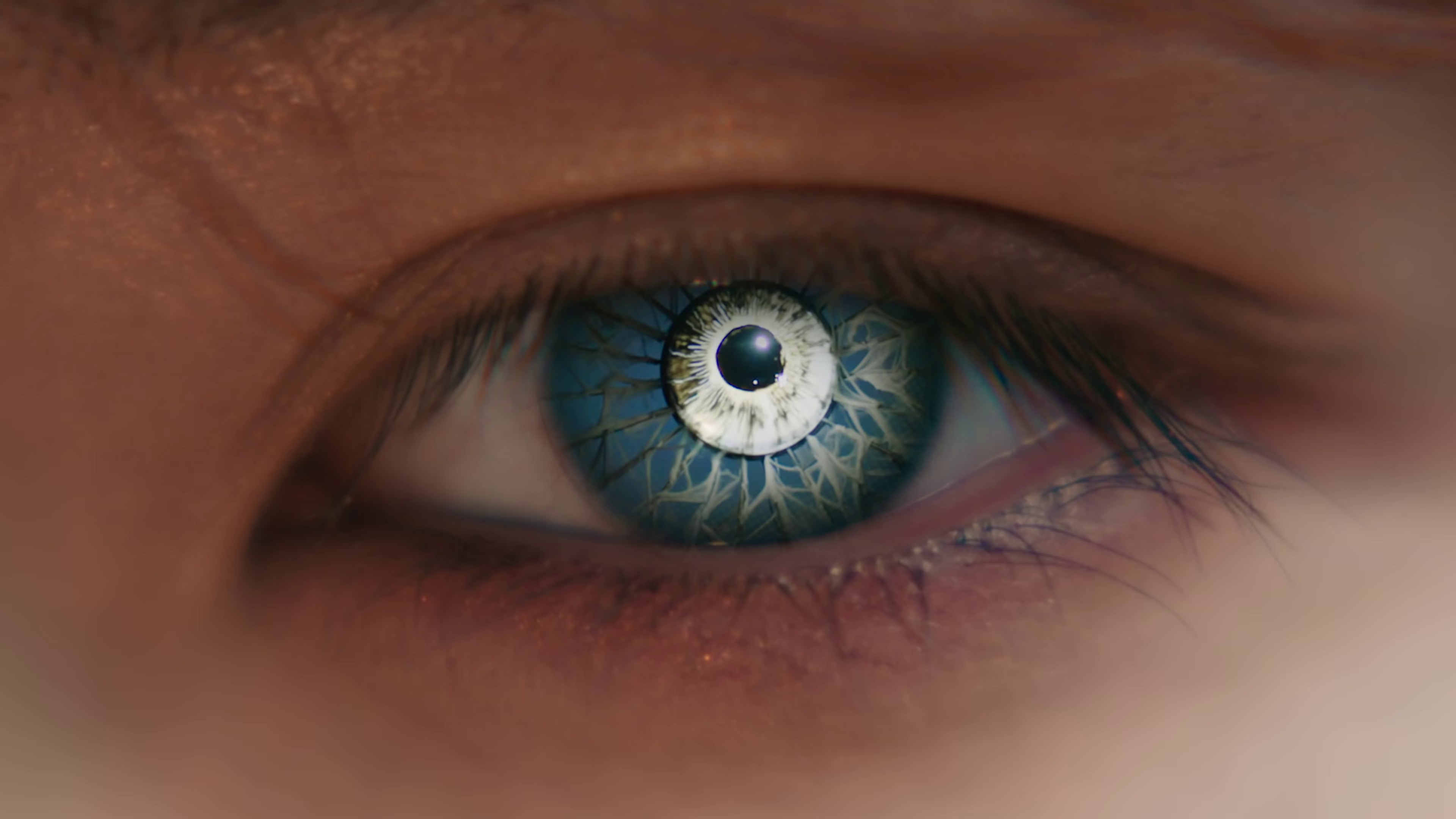 Good Boy Gone Bad (2022) —  shot,  lighting