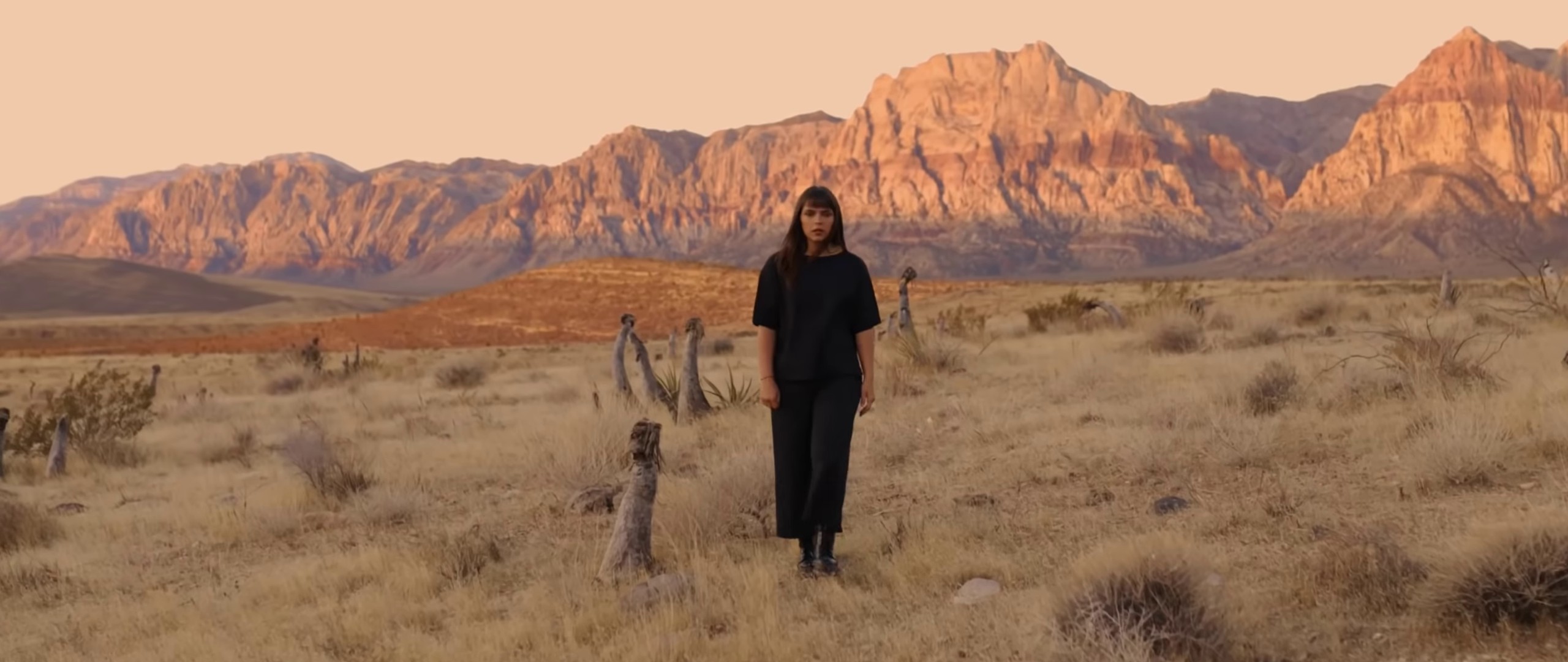 Zion (2021) —  shot,  lighting