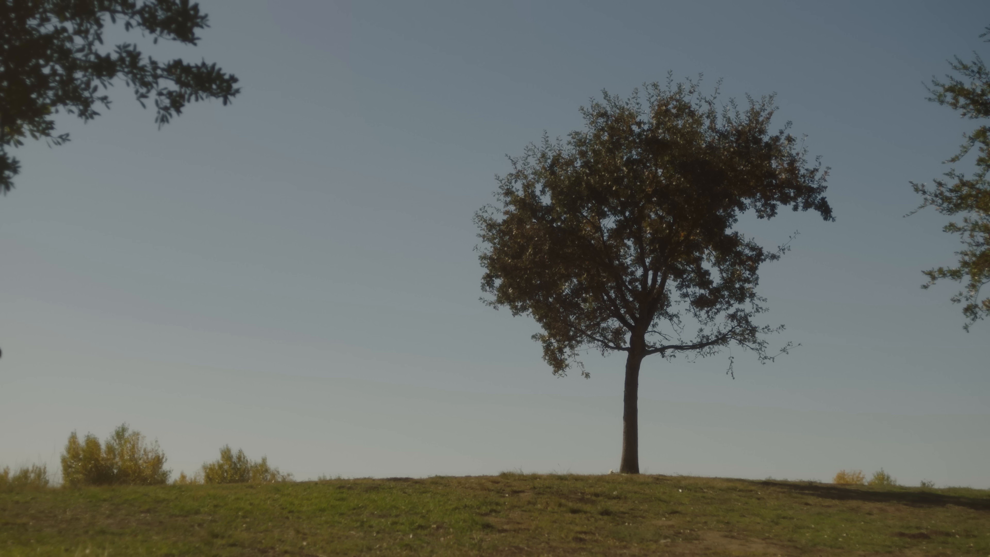 blue (2024) —  shot,  lighting