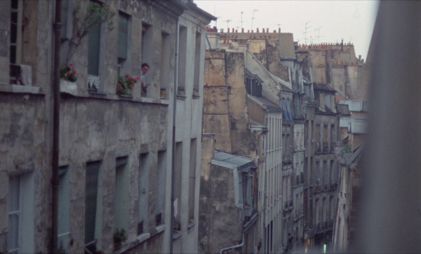 Le clair de terre (1970) —  shot,  lighting